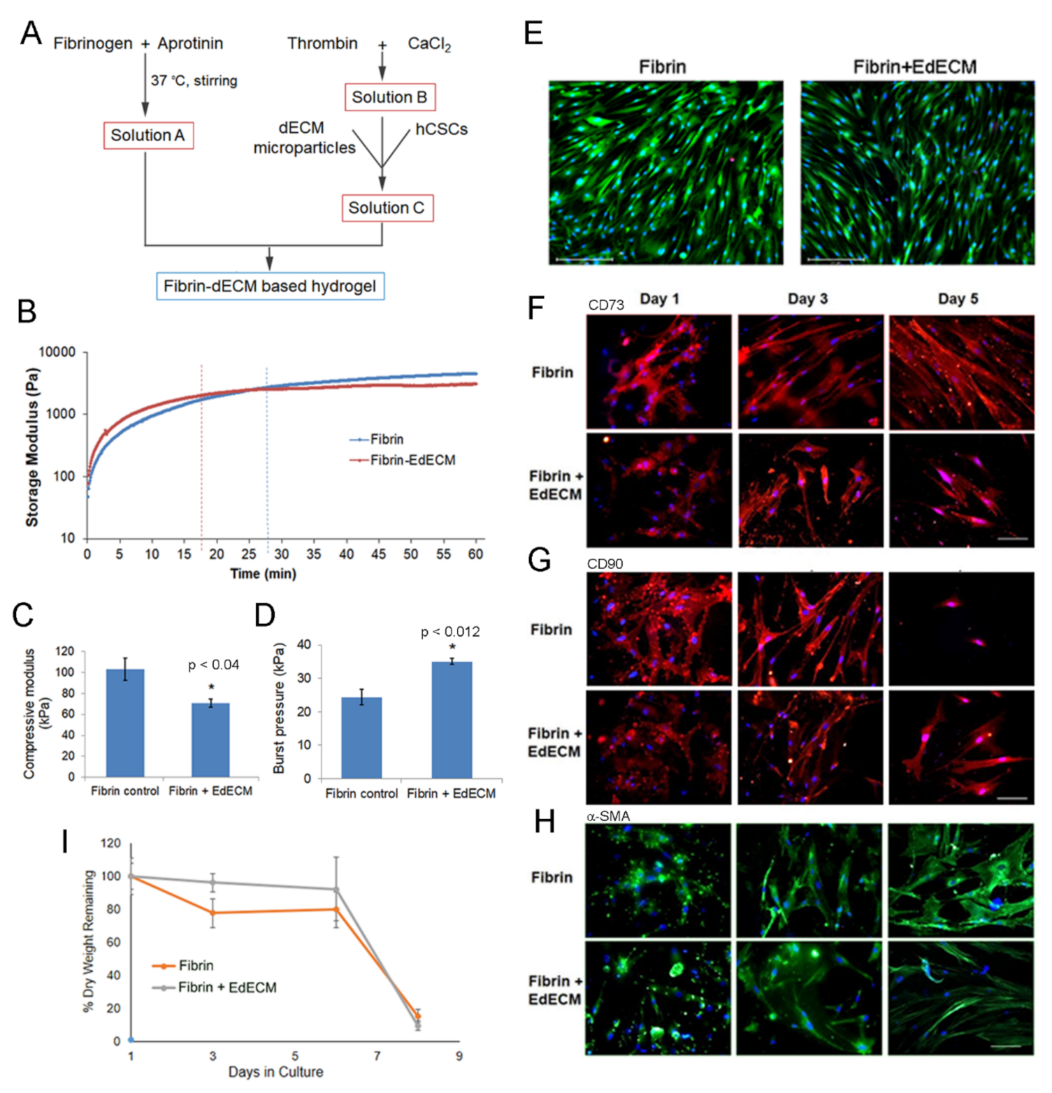 Biomolecules 11 00532 g003 Biomolecules 11 00532 g003
