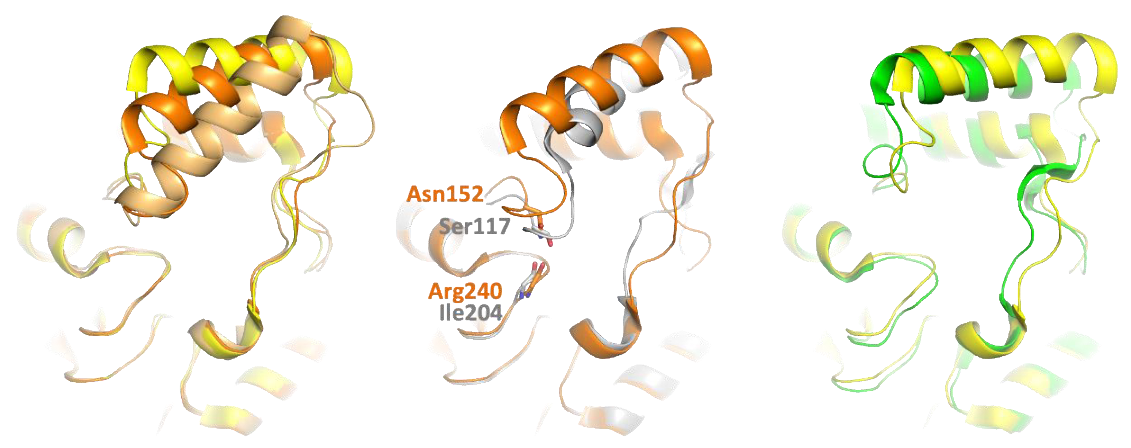 Biomolecules 11 00533 g002 Biomolecules 11 00533 g002