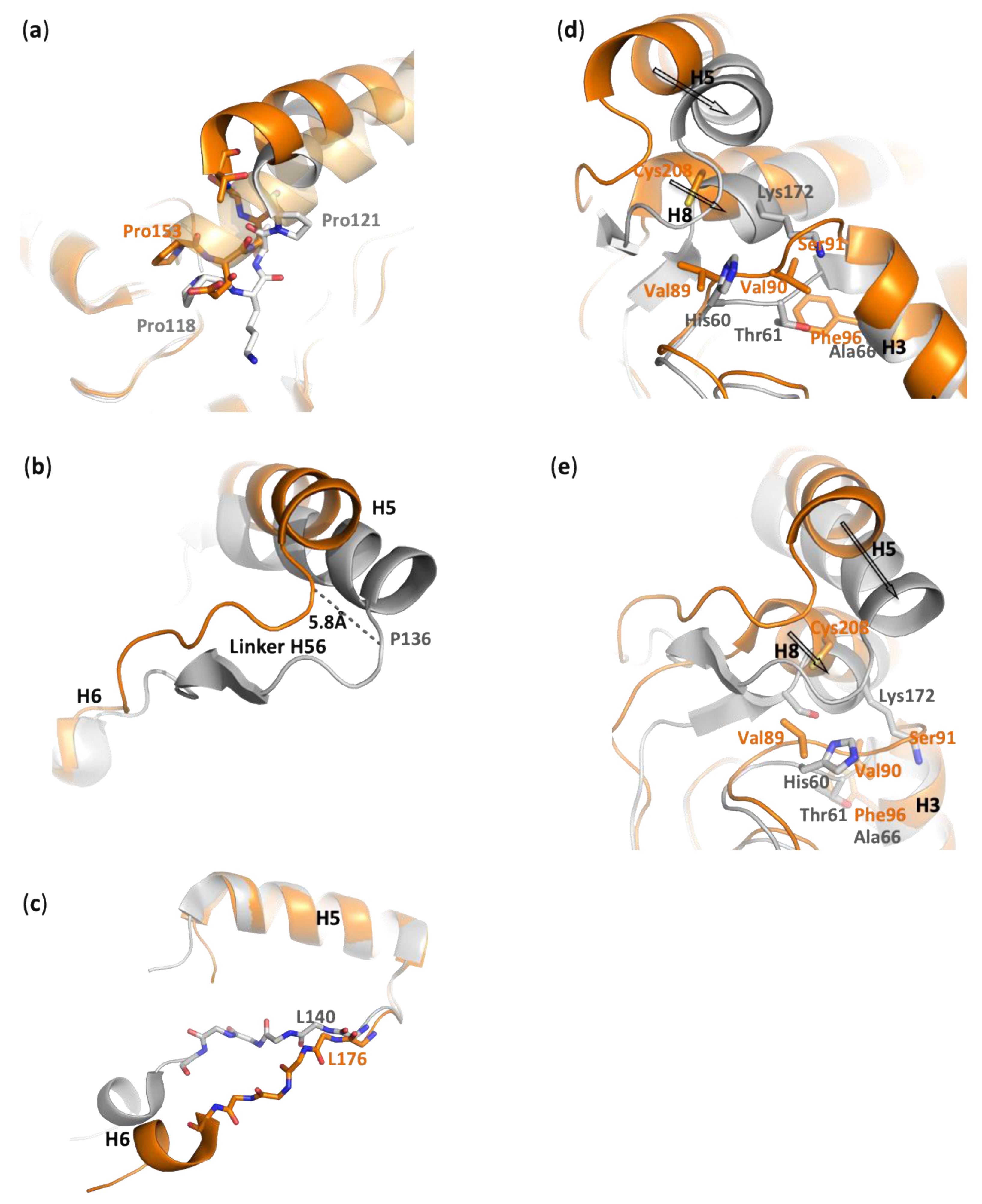 Biomolecules 11 00533 g003 Biomolecules 11 00533 g003