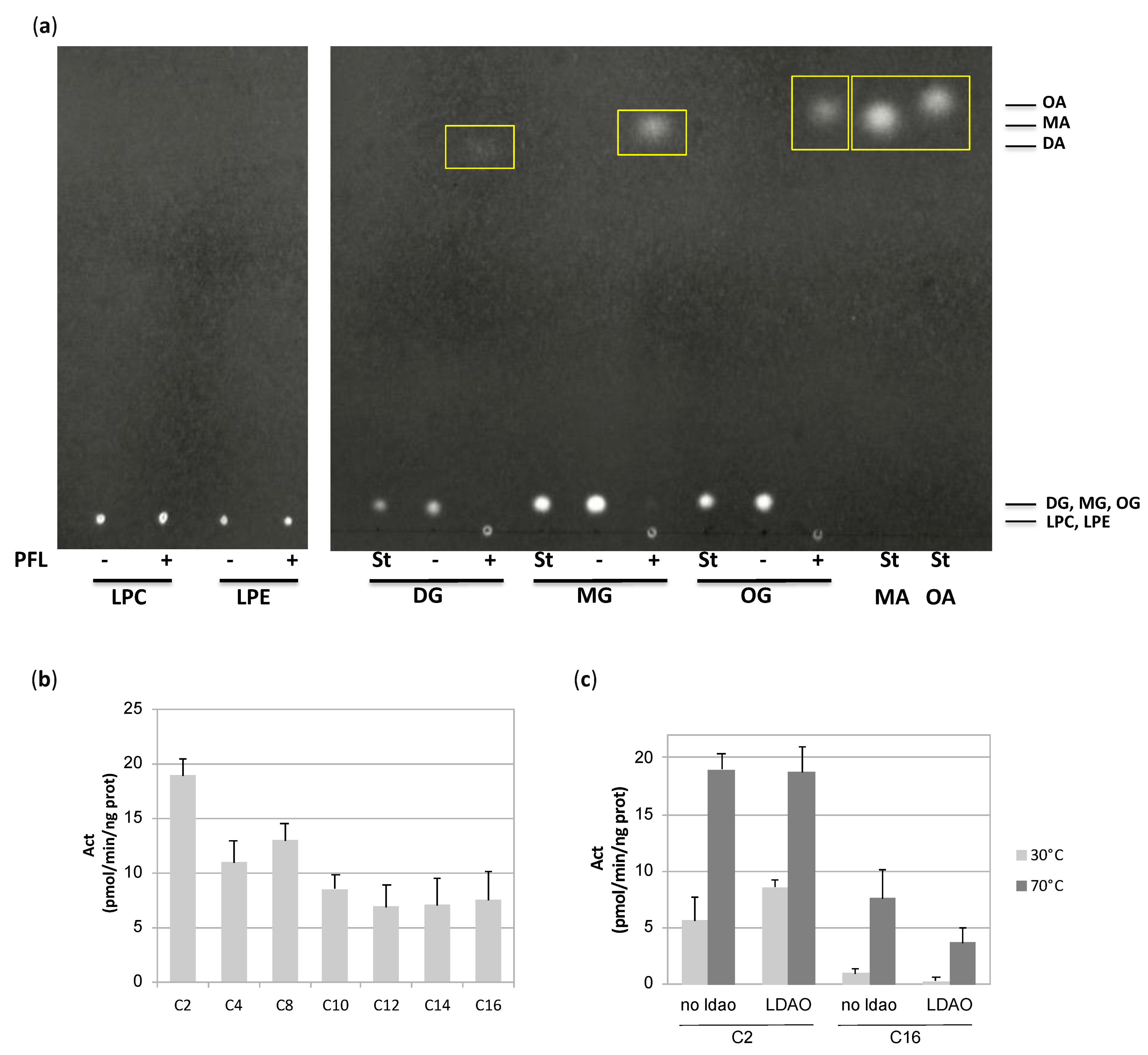 Biomolecules 11 00533 g005 Biomolecules 11 00533 g005