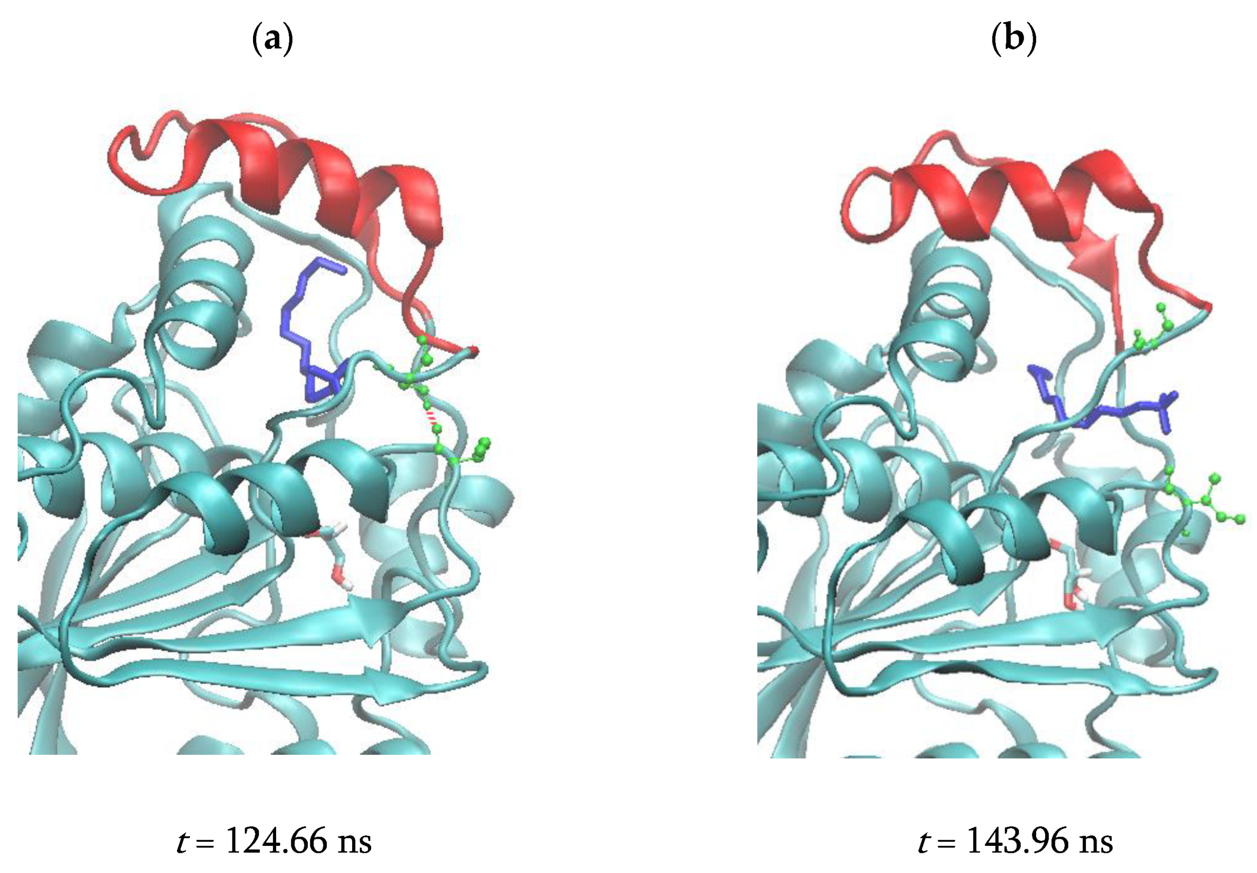Biomolecules 11 00533 g008 Biomolecules 11 00533 g008
