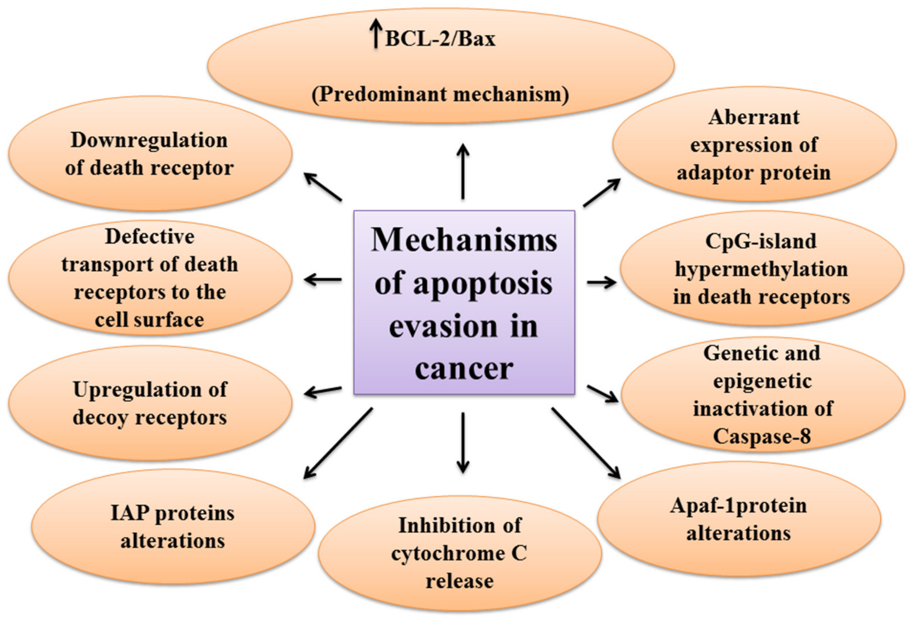 Biomolecules 11 00534 g002 Biomolecules 11 00534 g002