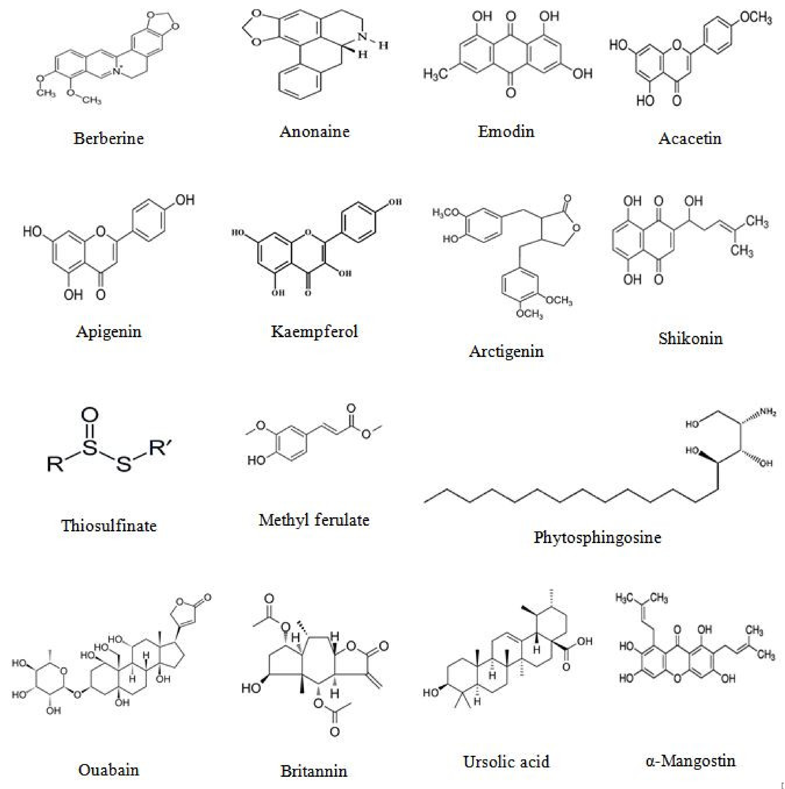 Biomolecules 11 00534 g004 Biomolecules 11 00534 g004