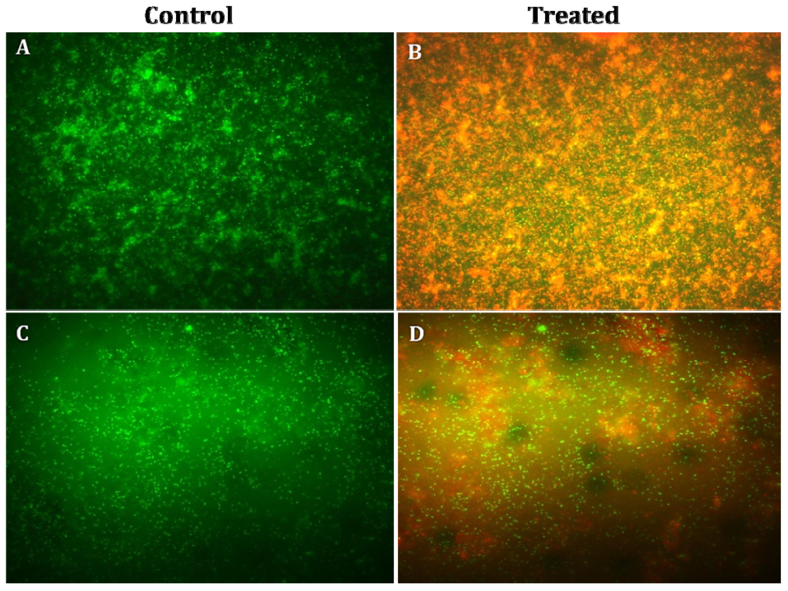Biomolecules 11 00535 g010