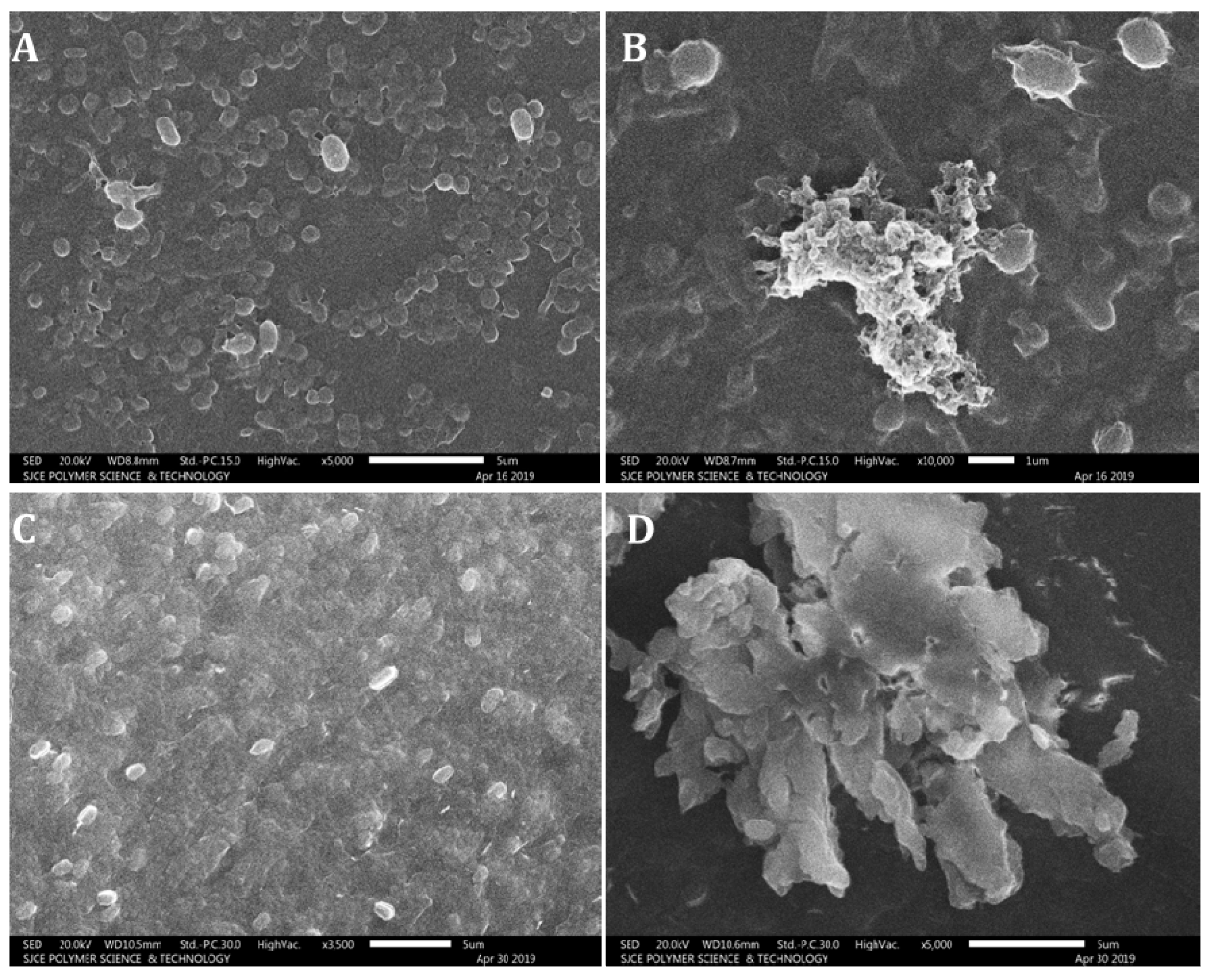 Biomolecules 11 00535 g011