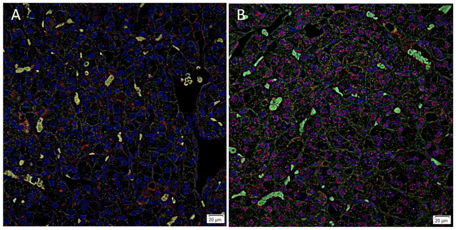 Biomolecules 11 00537 g003
