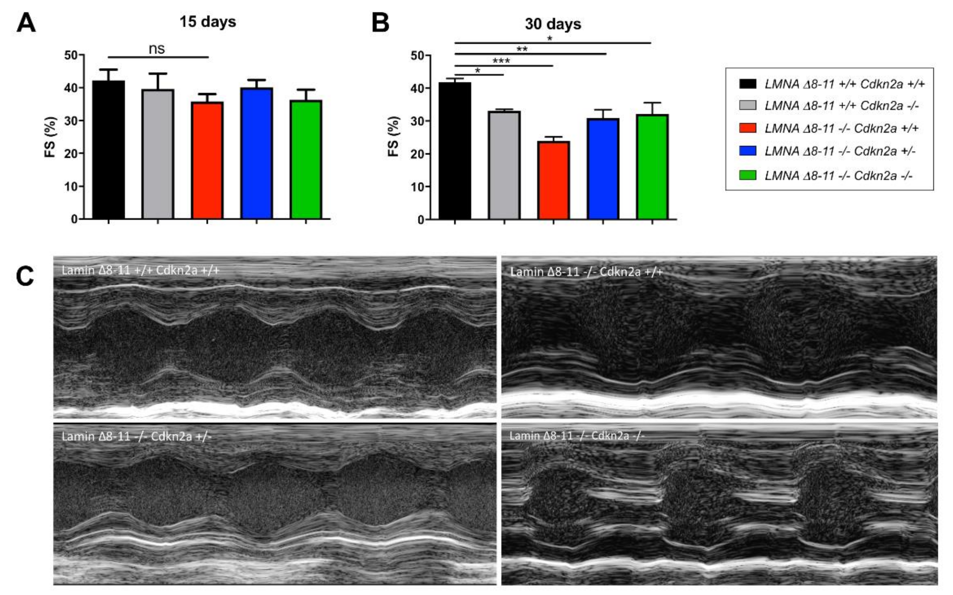 Biomolecules 11 00538 g003 Biomolecules 11 00538 g003