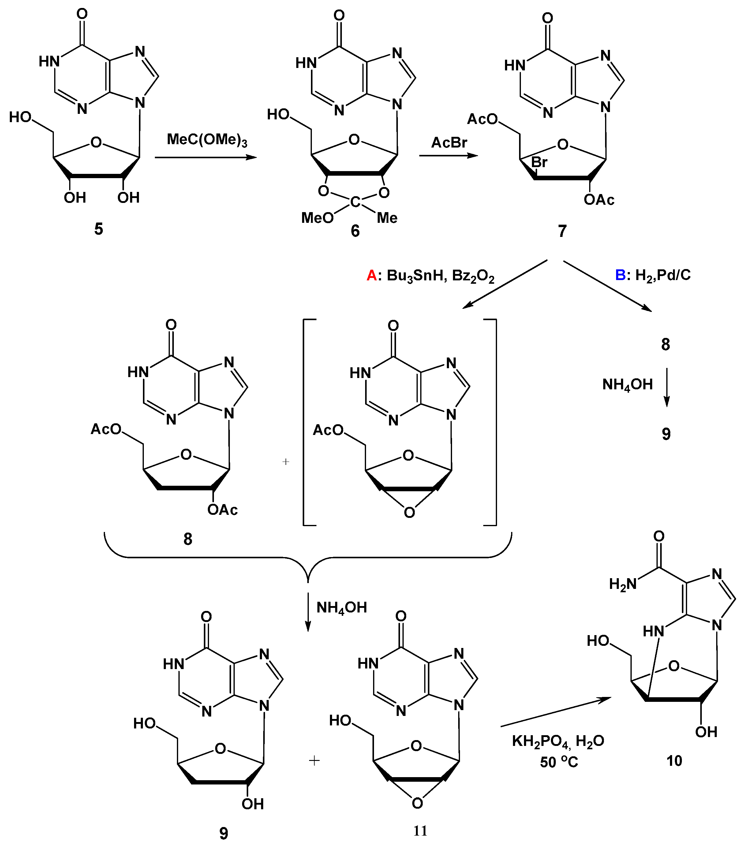 Biomolecules 11 00539 sch001 Biomolecules 11 00539 sch001