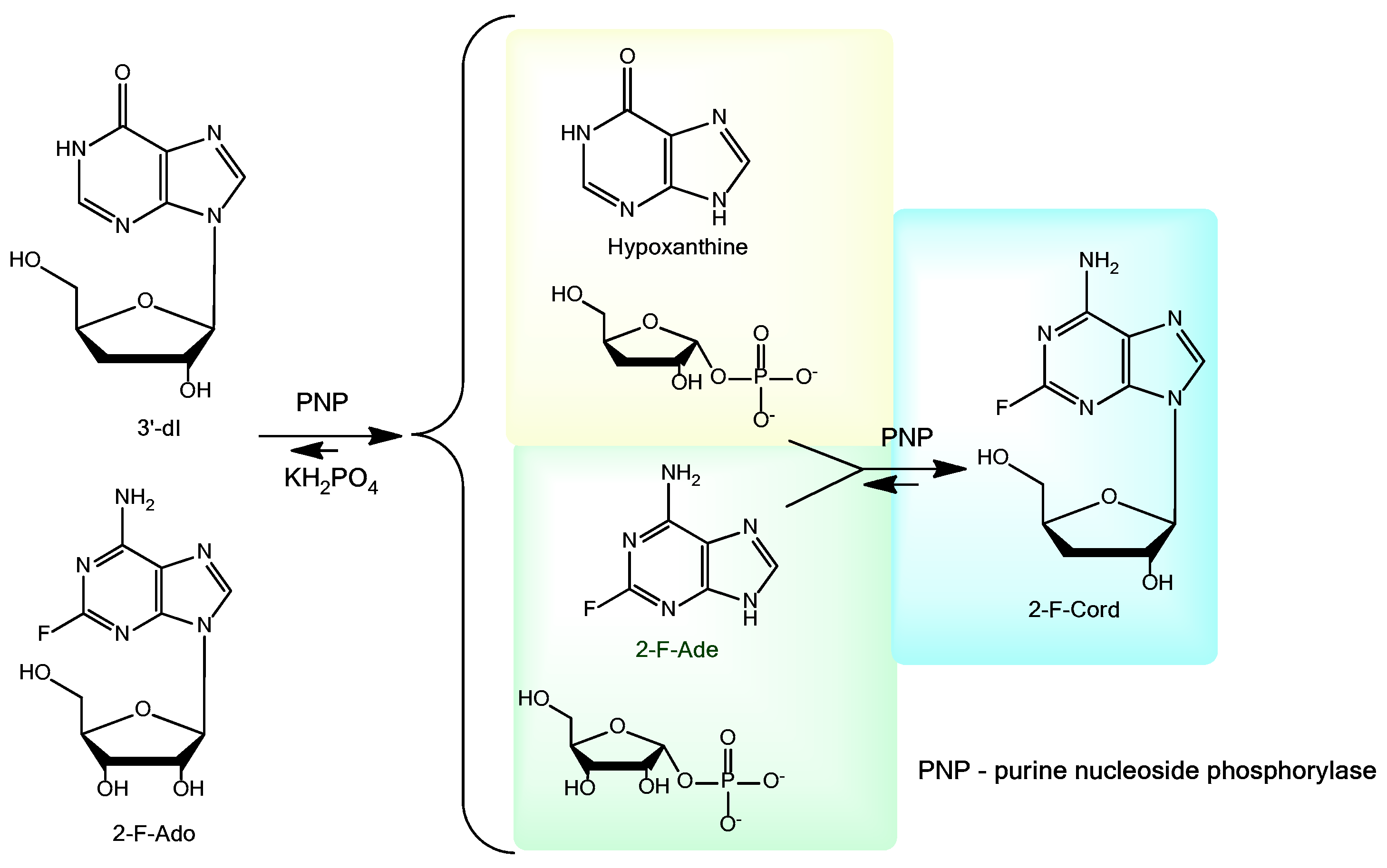 Biomolecules 11 00539 sch002 Biomolecules 11 00539 sch002