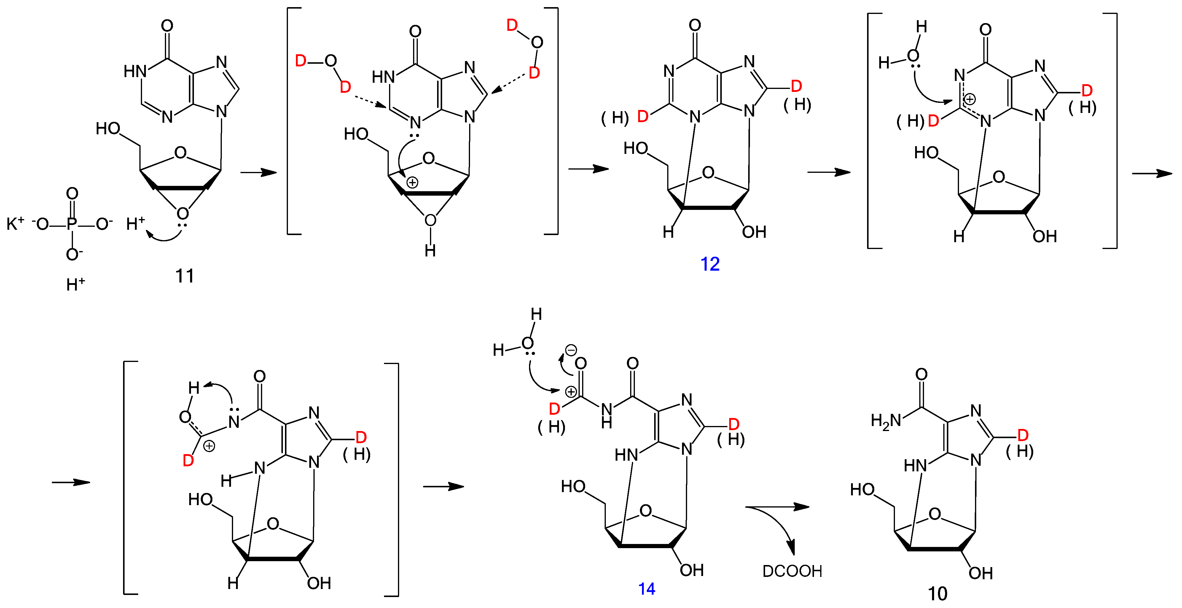 Biomolecules 11 00539 sch003 Biomolecules 11 00539 sch003