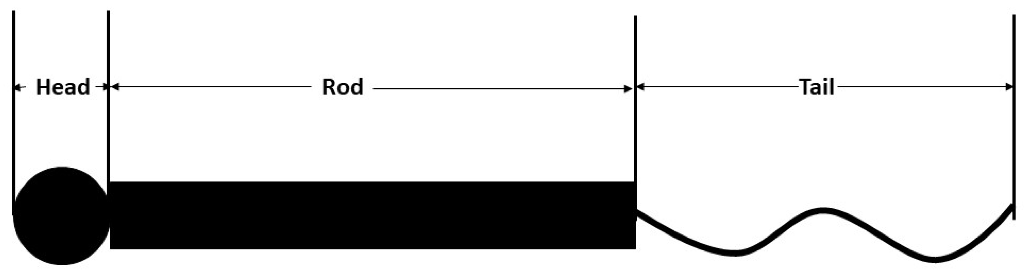 Biomolecules 11 00540 g001 Biomolecules 11 00540 g001
