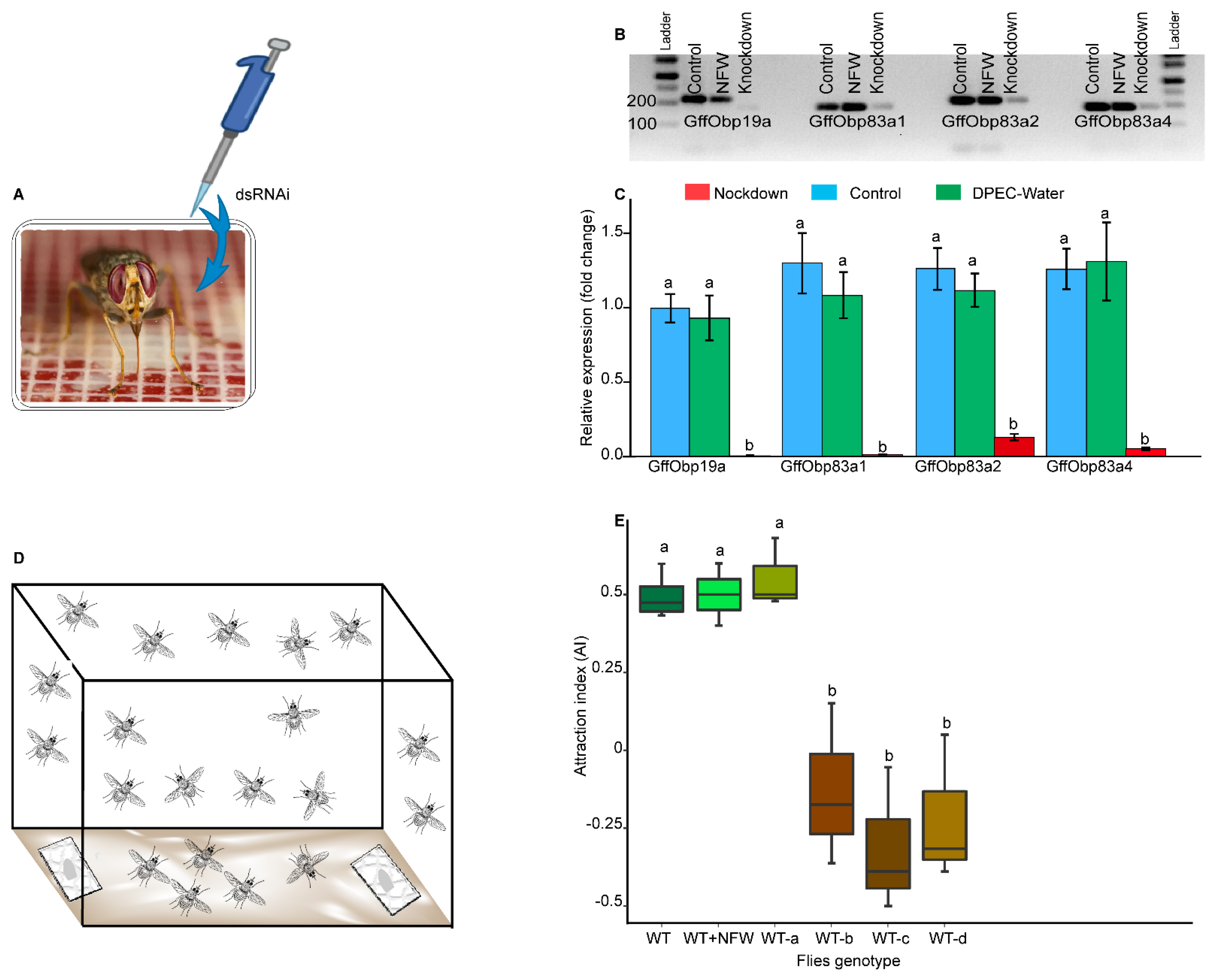 Biomolecules 11 00541 g004 Biomolecules 11 00541 g004