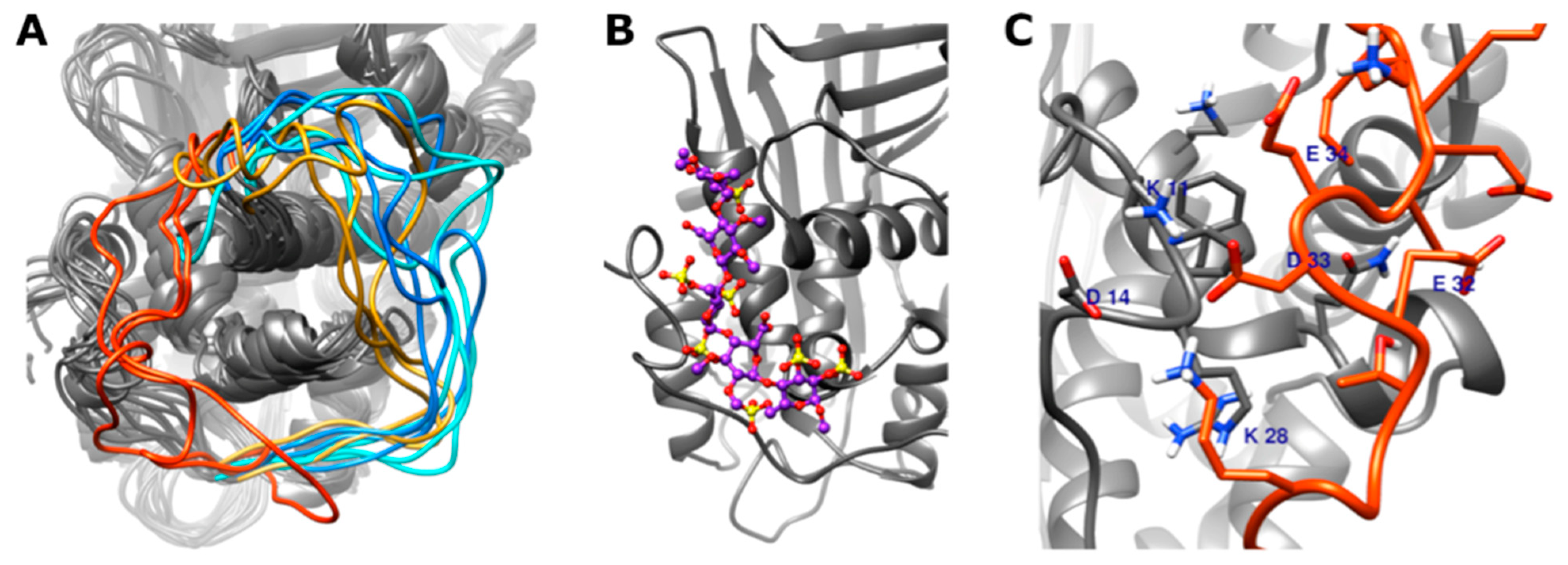 Biomolecules 11 00544 g004 Biomolecules 11 00544 g004
