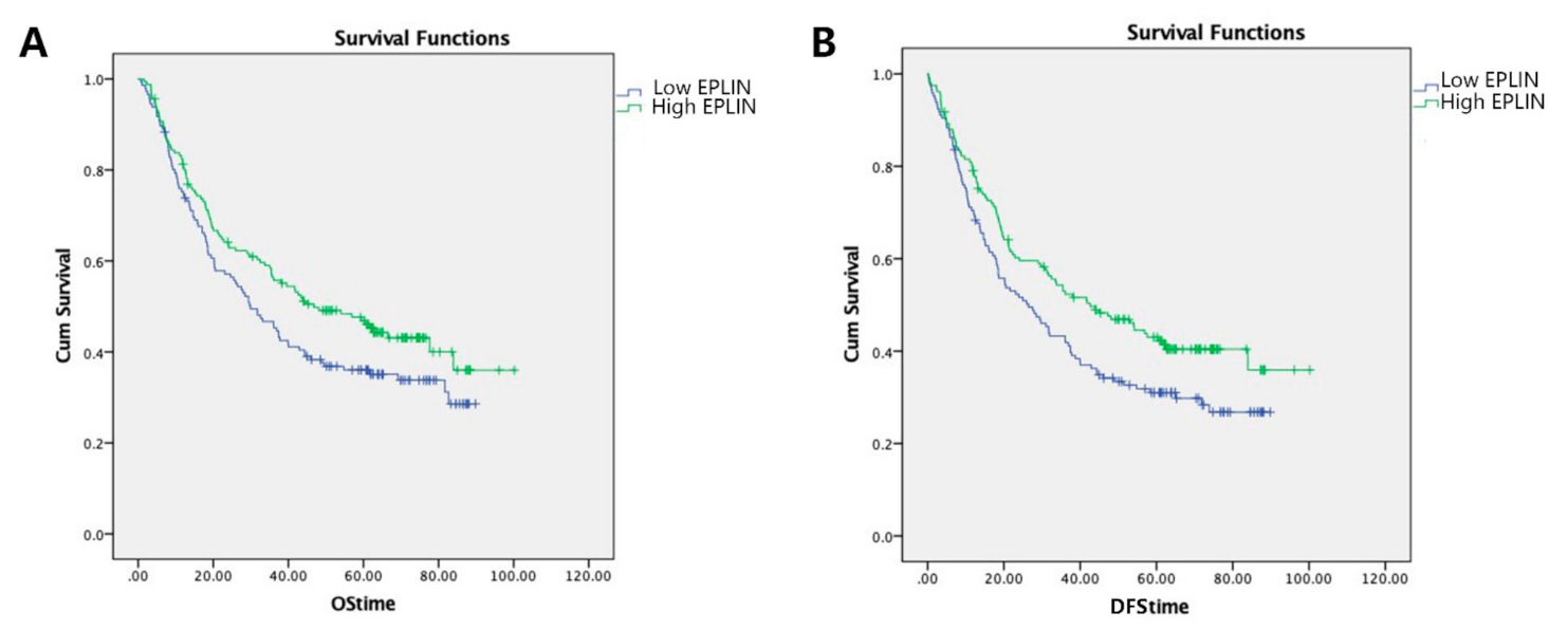 Biomolecules 11 00547 g002