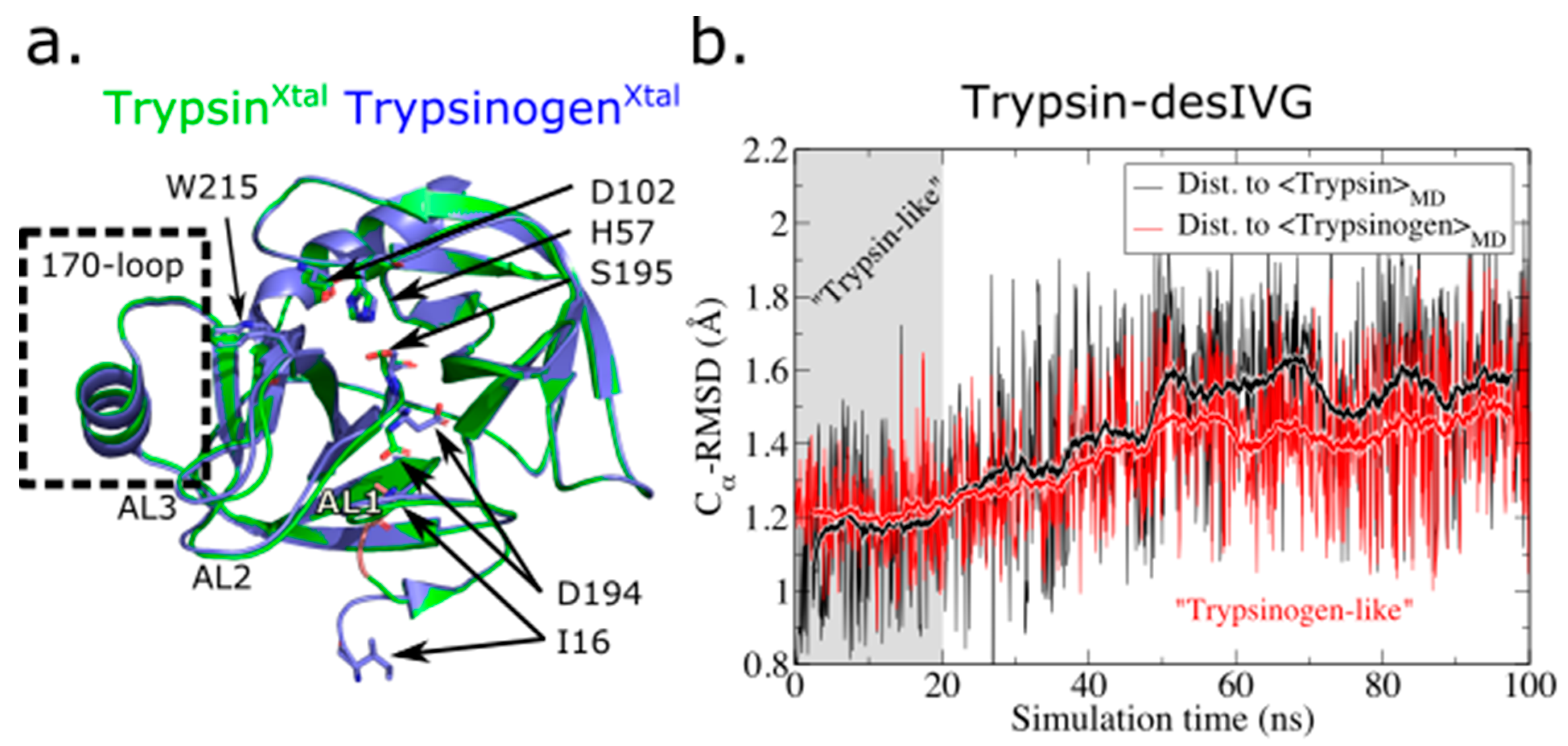 Biomolecules 11 00549 g001 Biomolecules 11 00549 g001