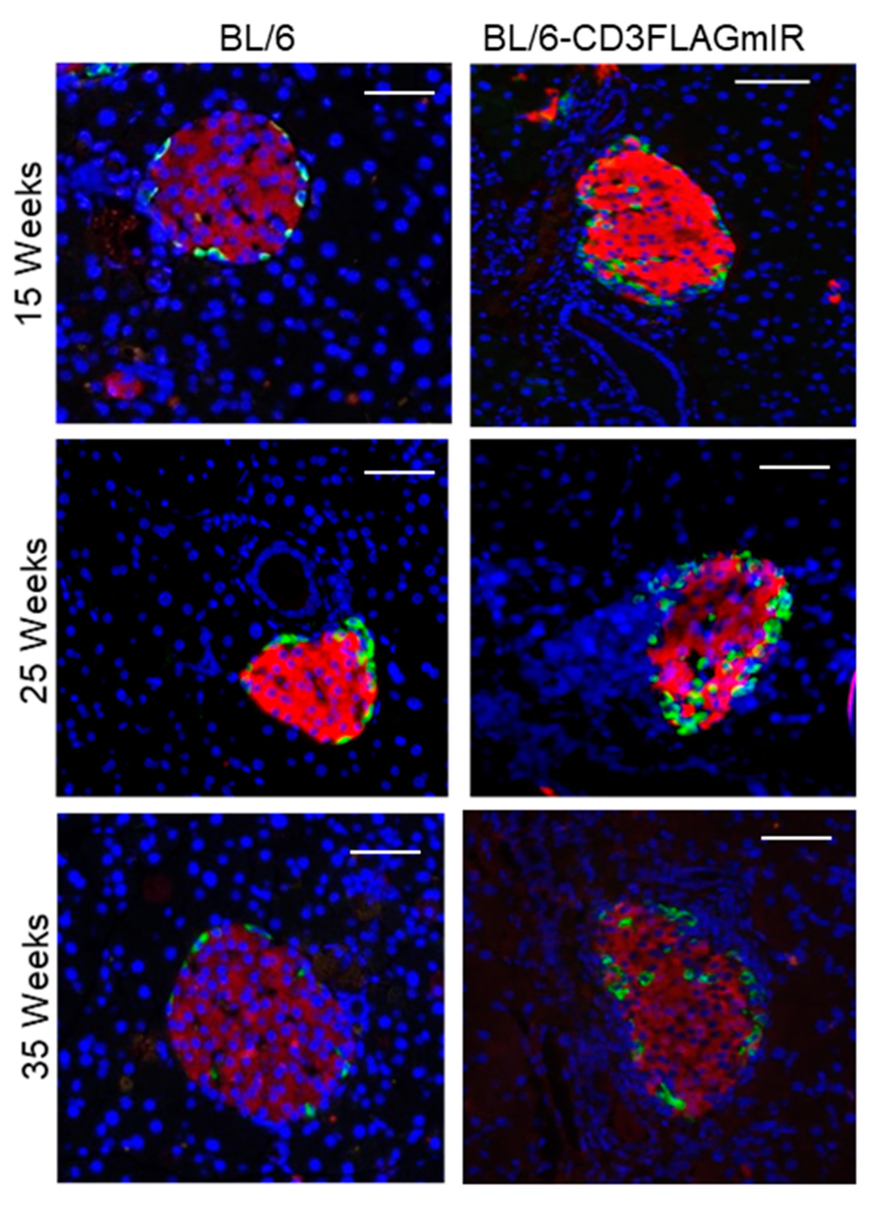 Biomolecules 11 00552 g008