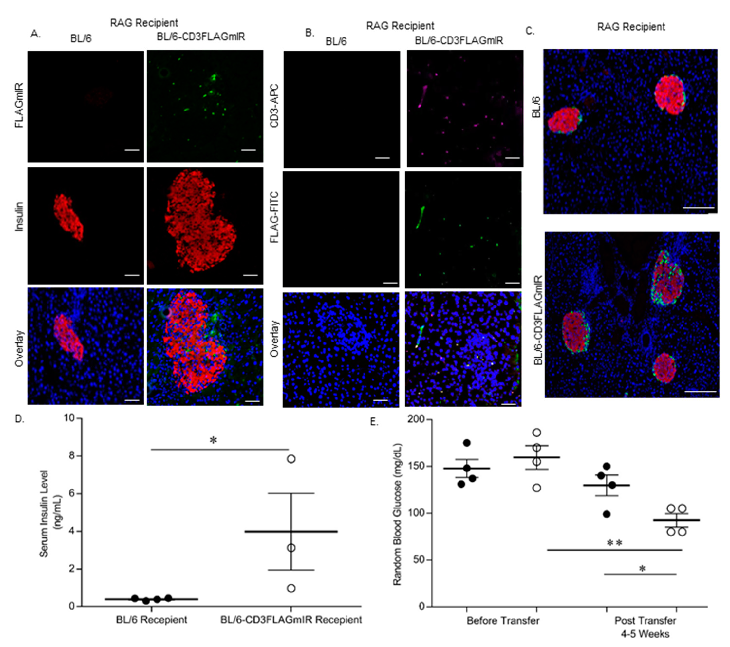 Biomolecules 11 00552 g013