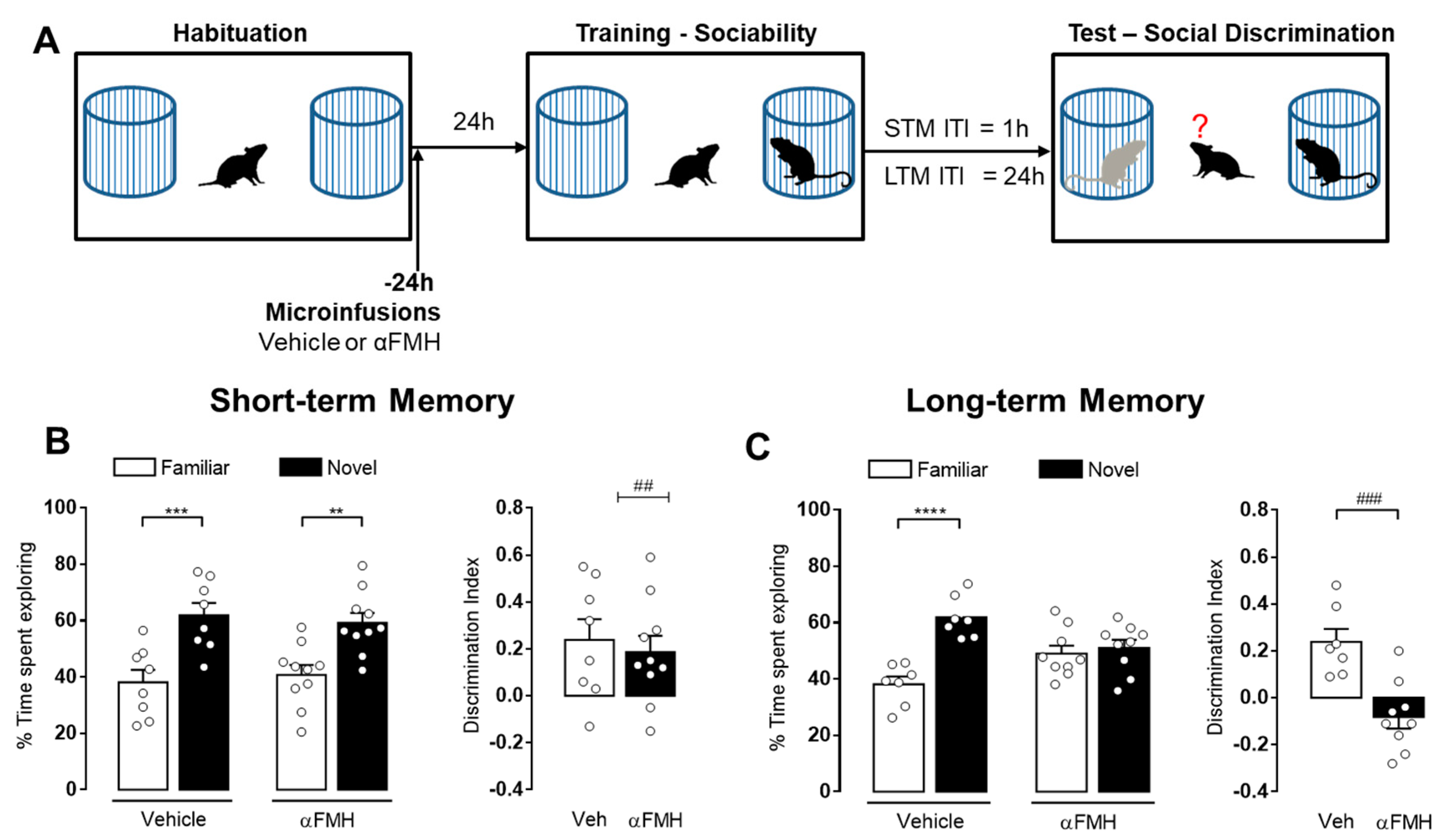 Biomolecules 11 00555 g002 Biomolecules 11 00555 g002