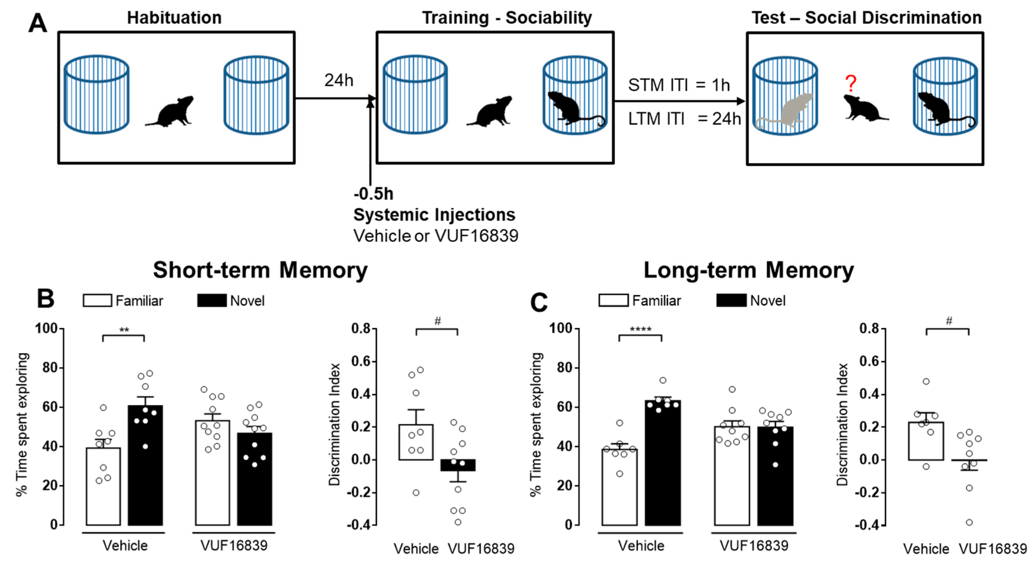 Biomolecules 11 00555 g003 Biomolecules 11 00555 g003