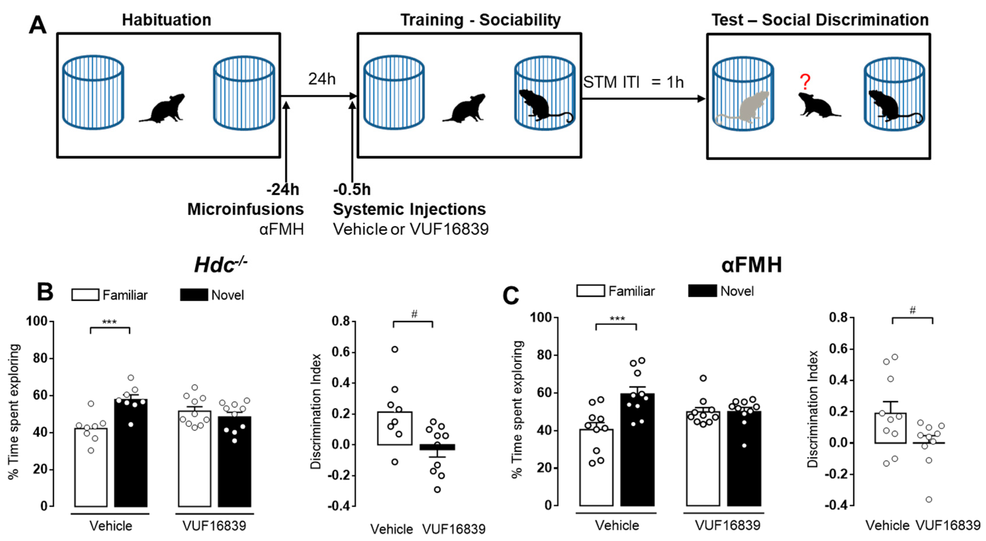 Biomolecules 11 00555 g005 Biomolecules 11 00555 g005