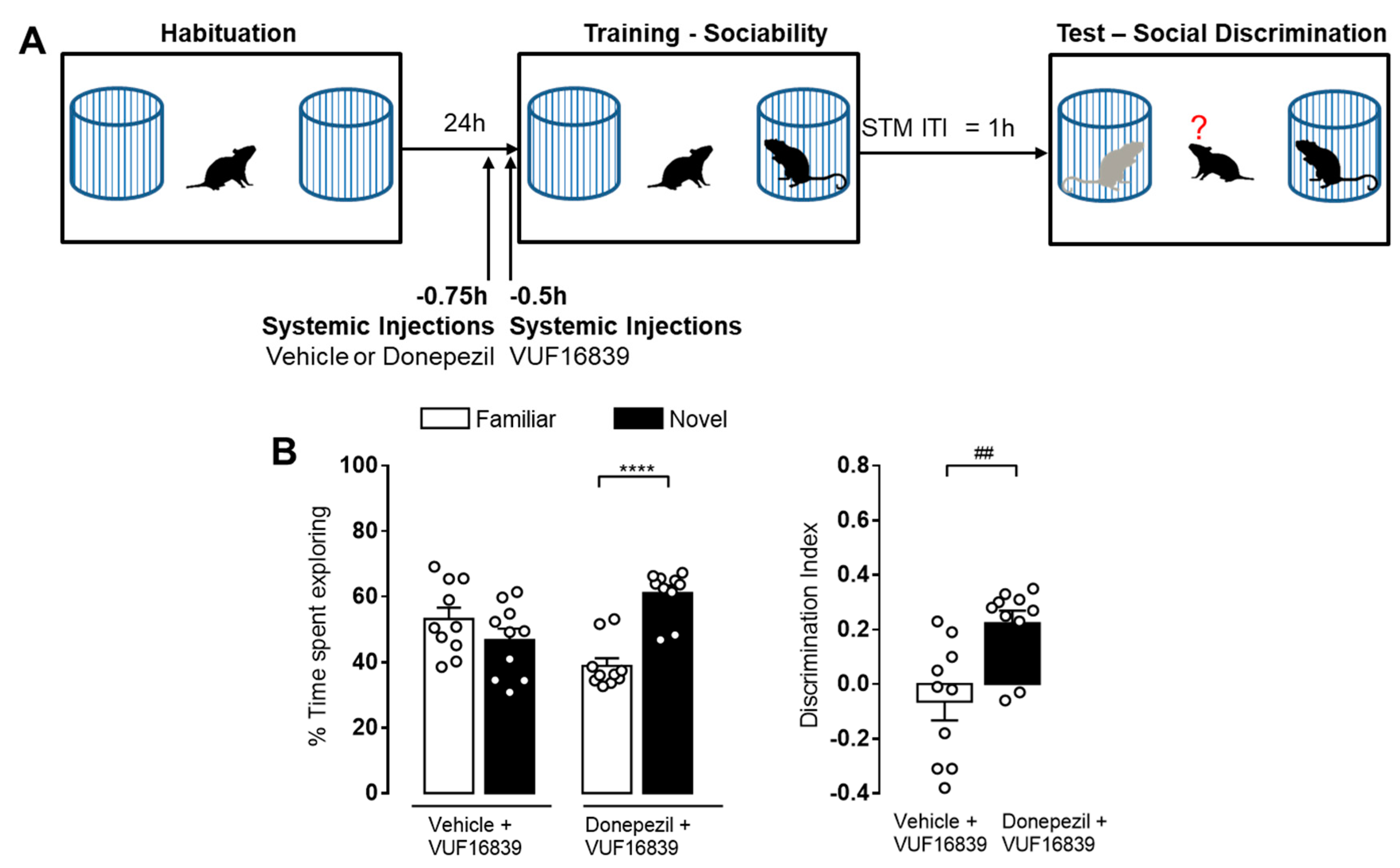 Biomolecules 11 00555 g006 Biomolecules 11 00555 g006
