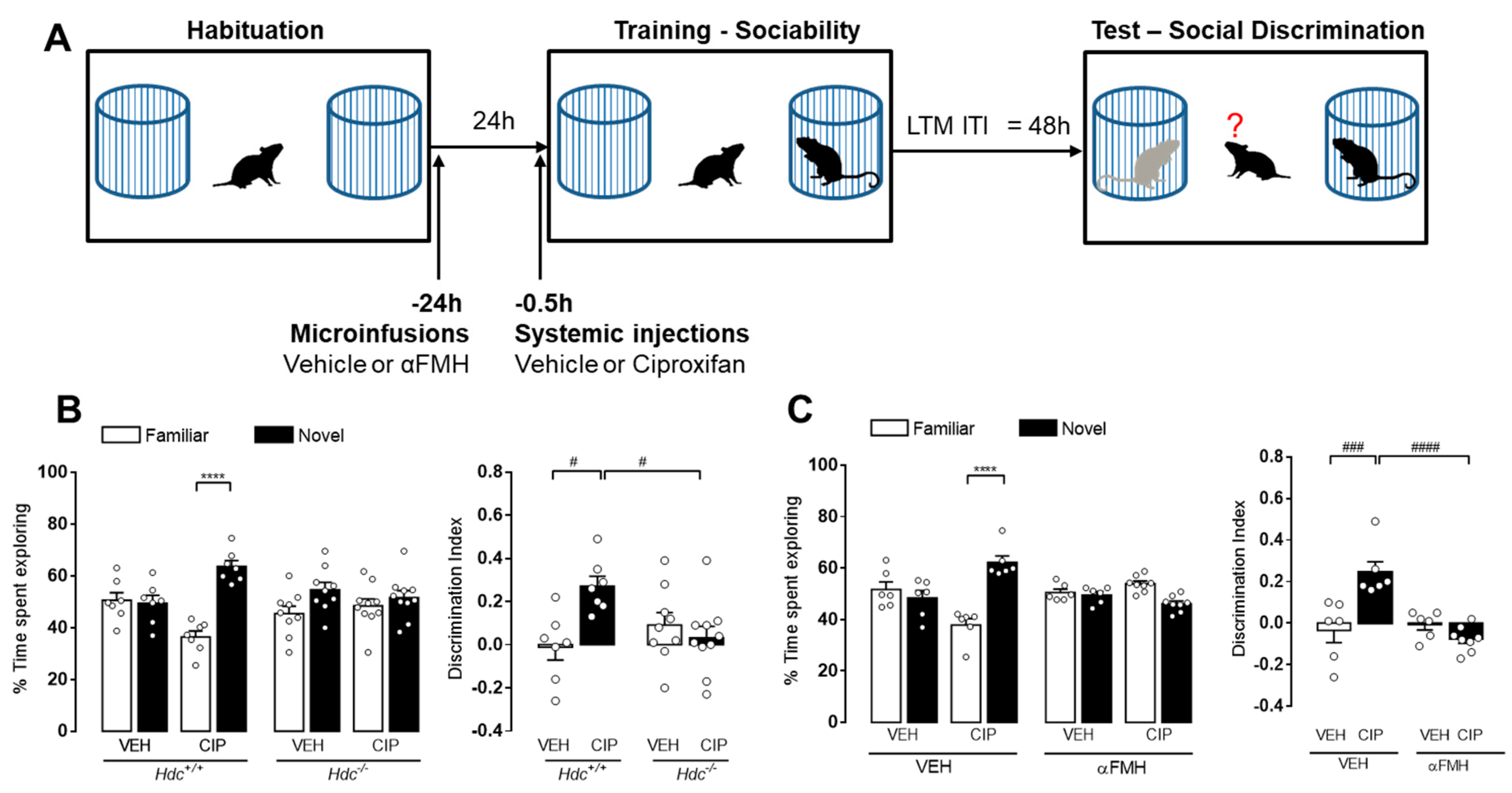 Biomolecules 11 00555 g007 Biomolecules 11 00555 g007
