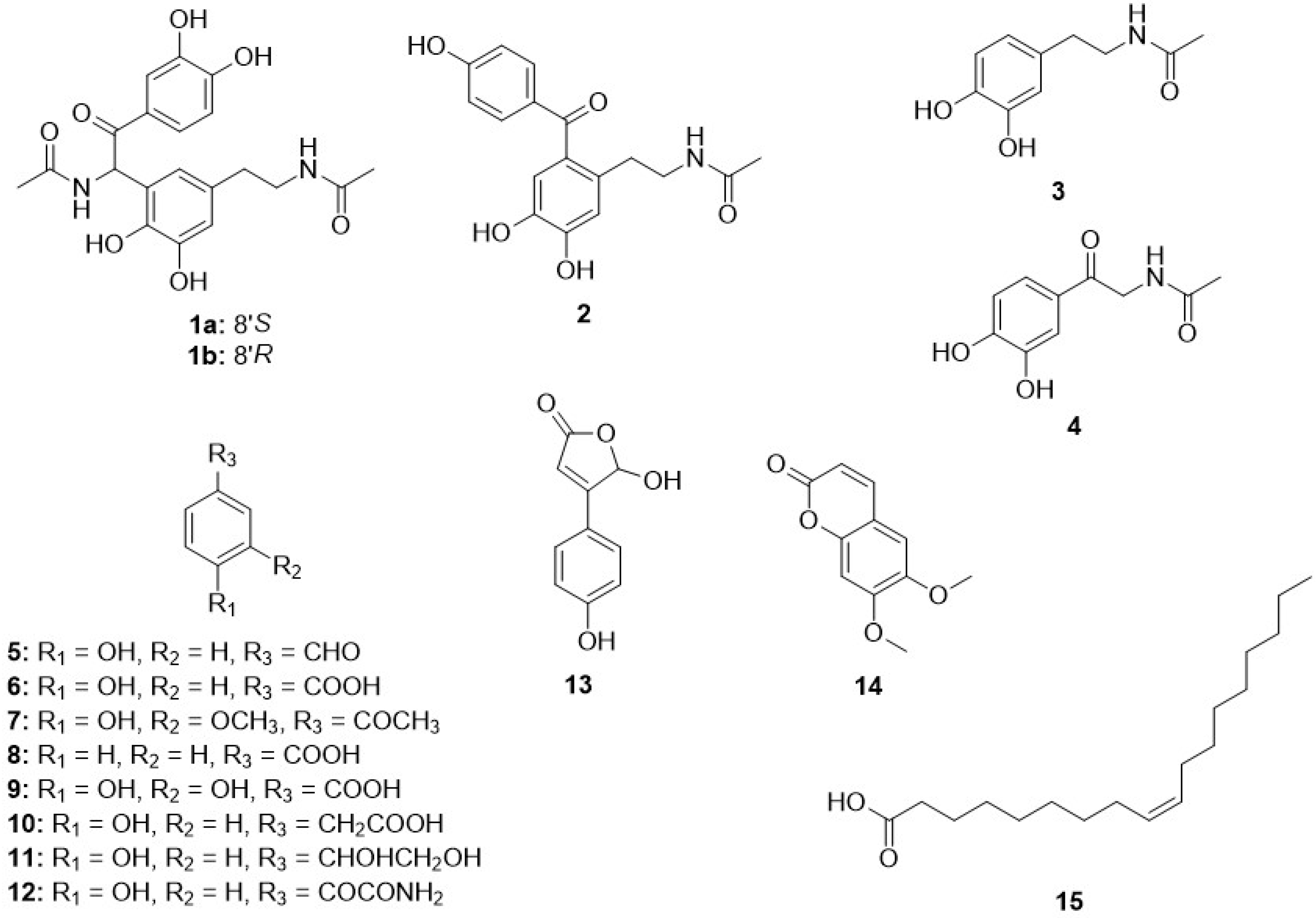 Biomolecules 11 00556 g001
