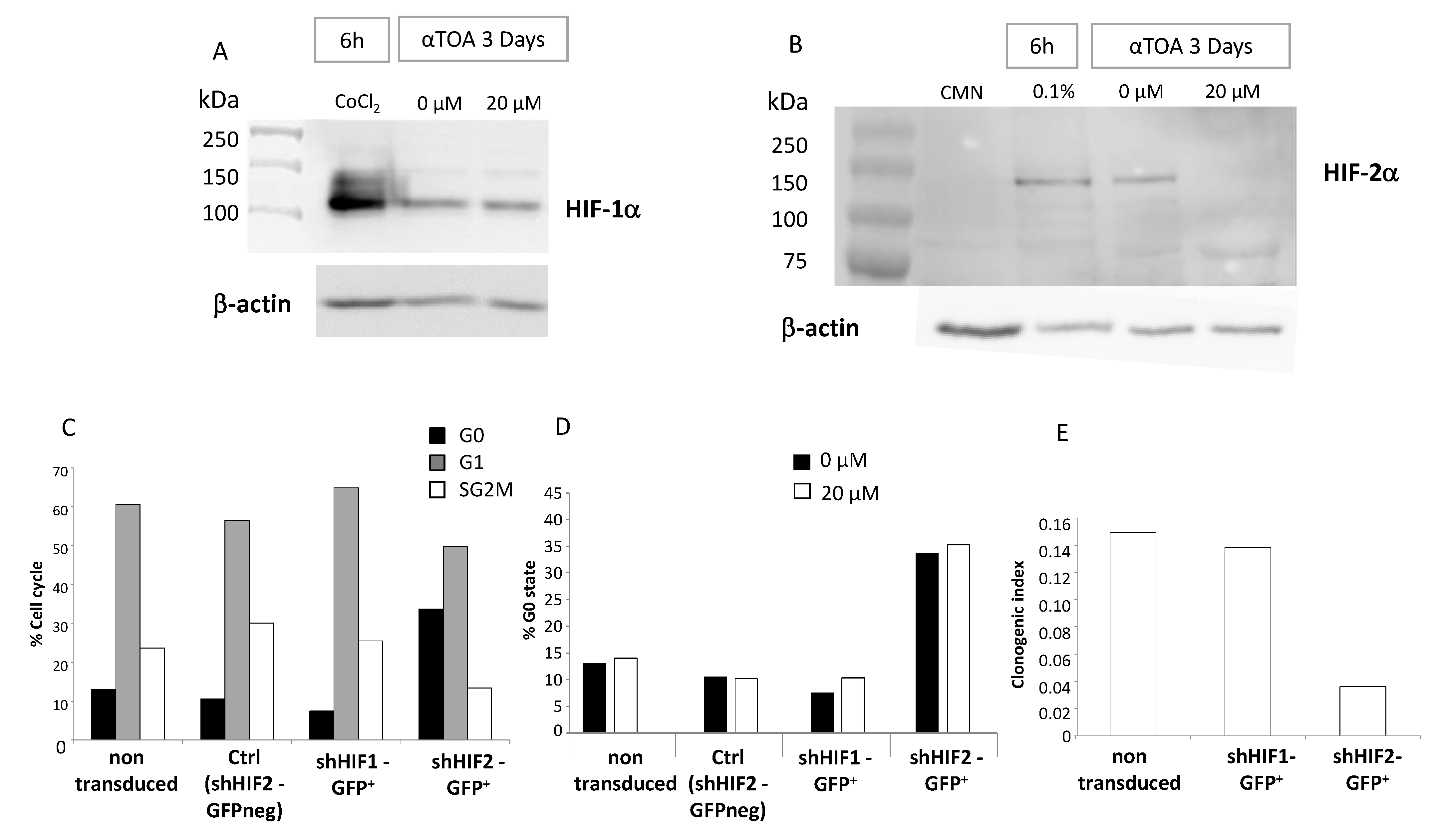Biomolecules 11 00558 g006