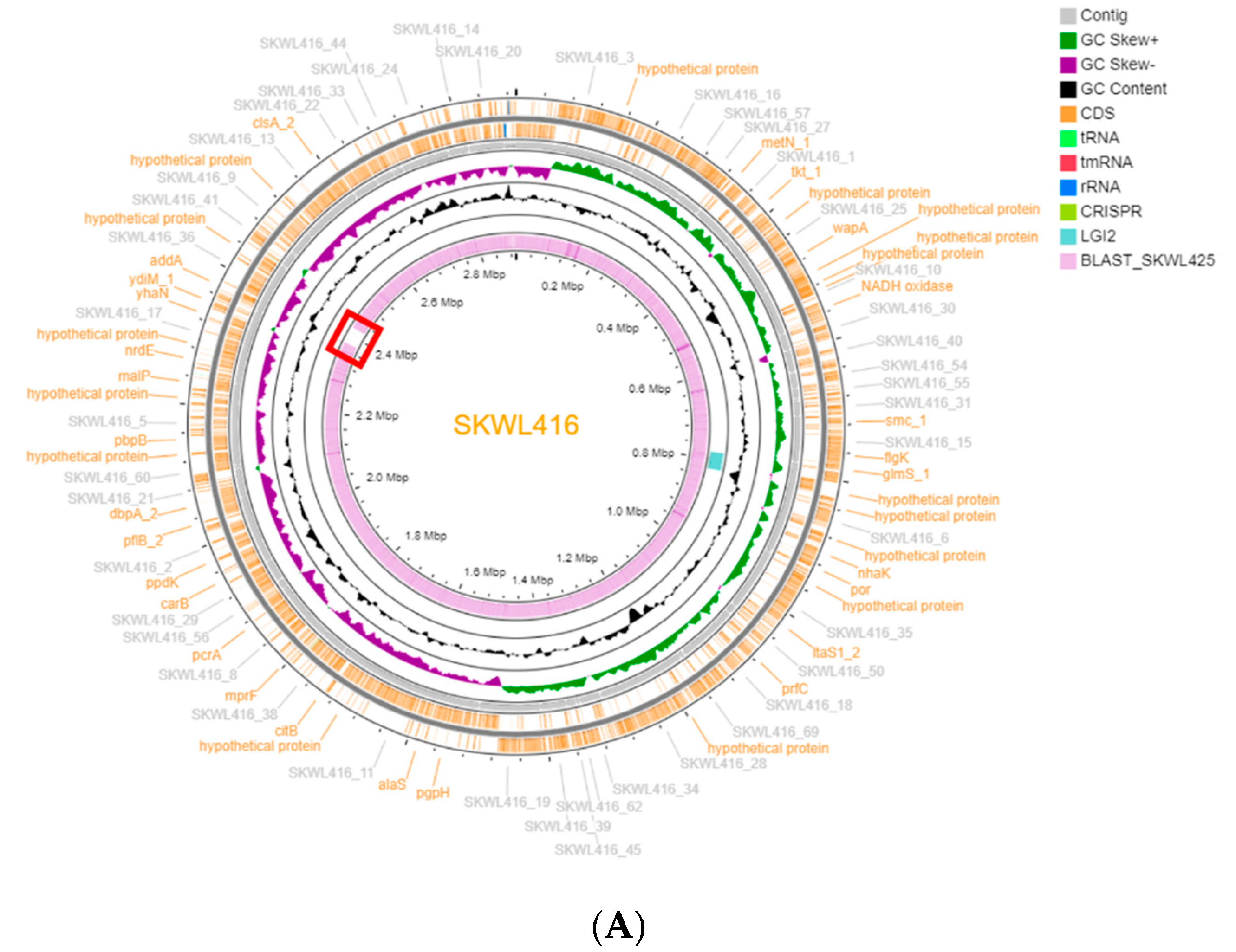 Biomolecules 11 00560 g001a Biomolecules 11 00560 g001a