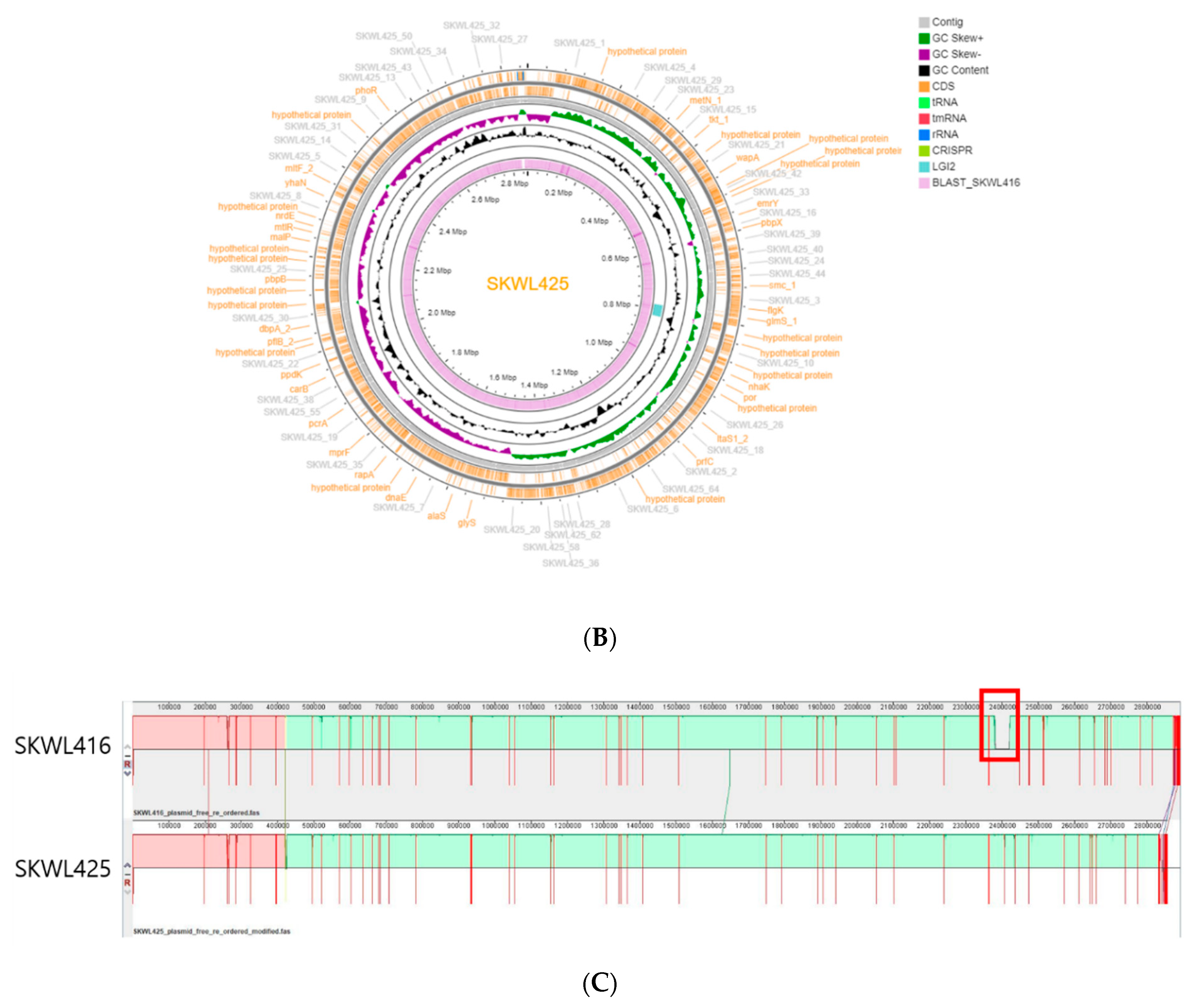 Biomolecules 11 00560 g001b Biomolecules 11 00560 g001b