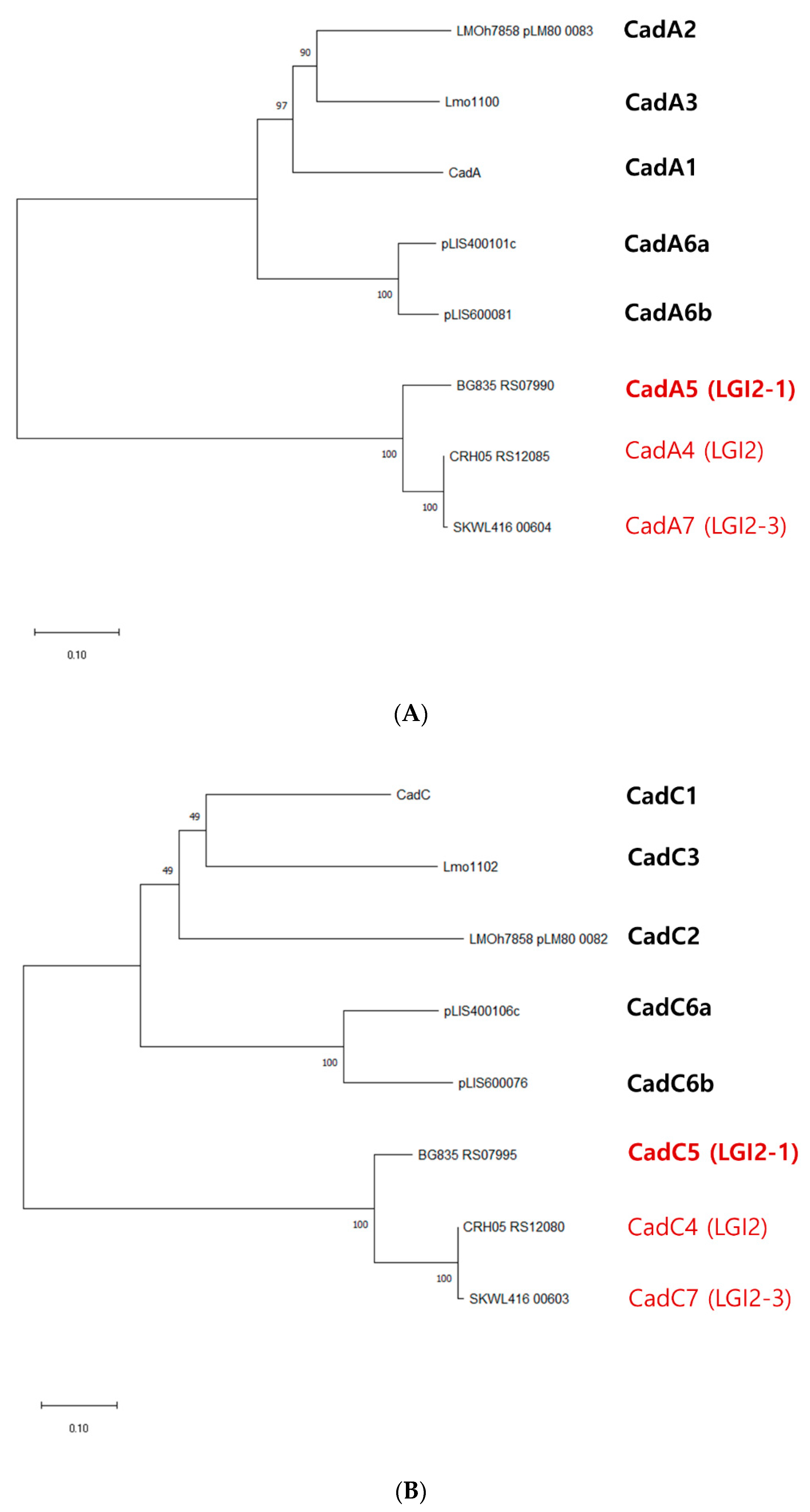 Biomolecules 11 00560 g003 Biomolecules 11 00560 g003