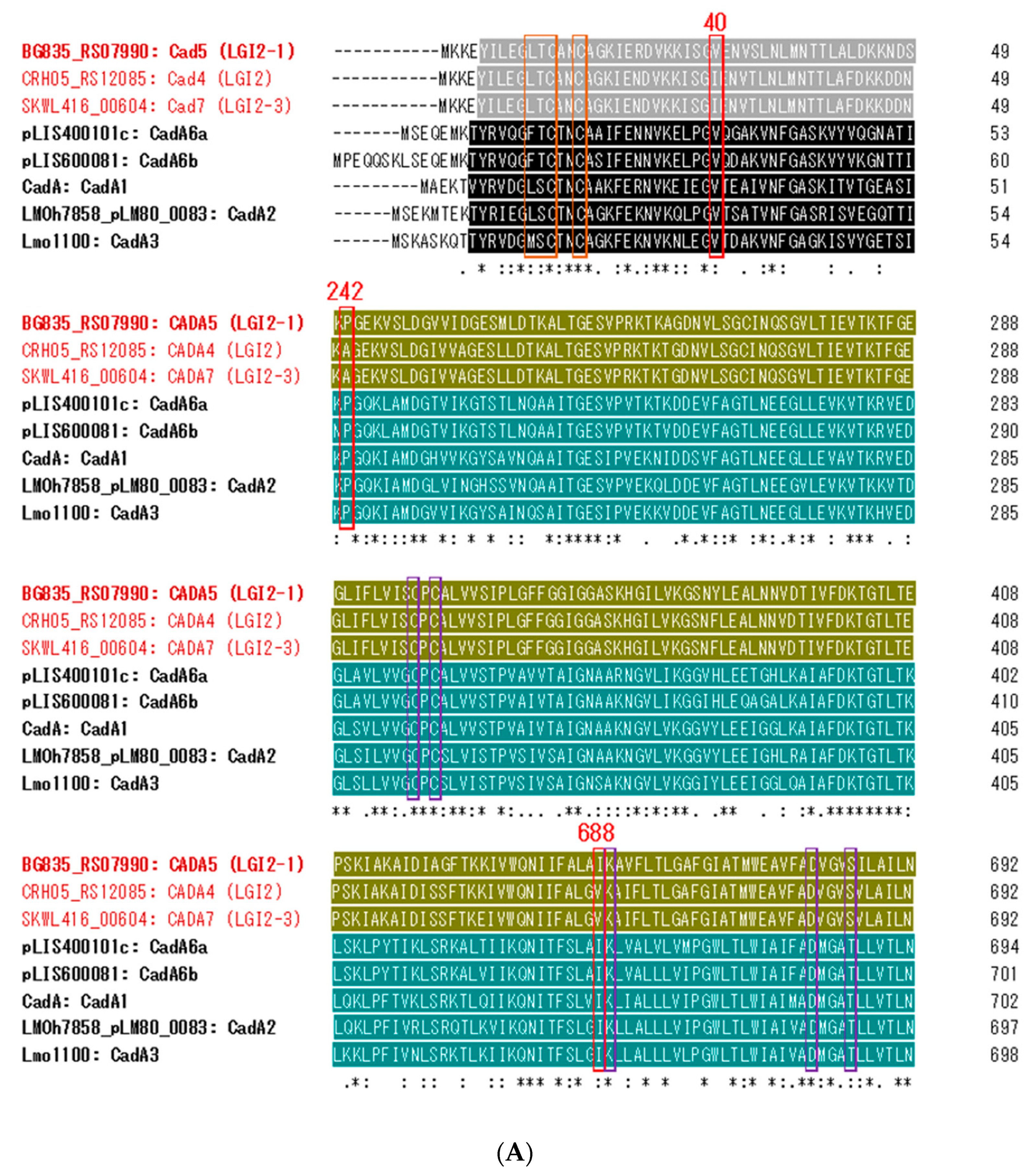 Biomolecules 11 00560 g004a Biomolecules 11 00560 g004a