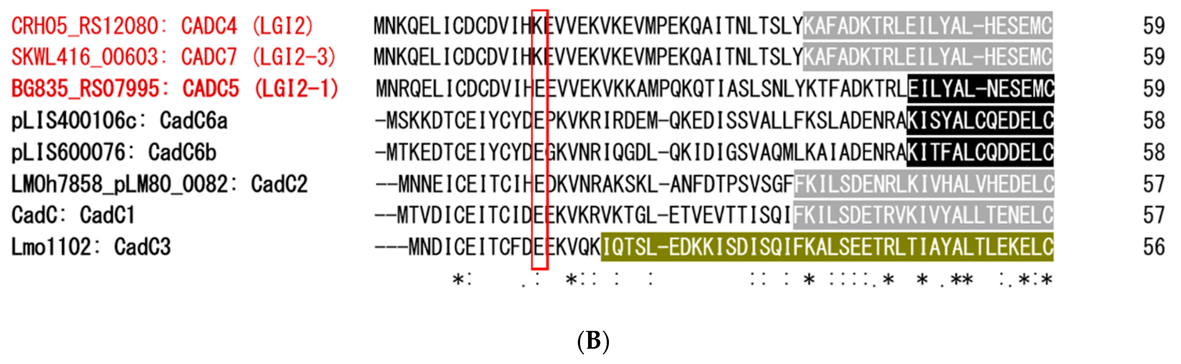 Biomolecules 11 00560 g004b Biomolecules 11 00560 g004b