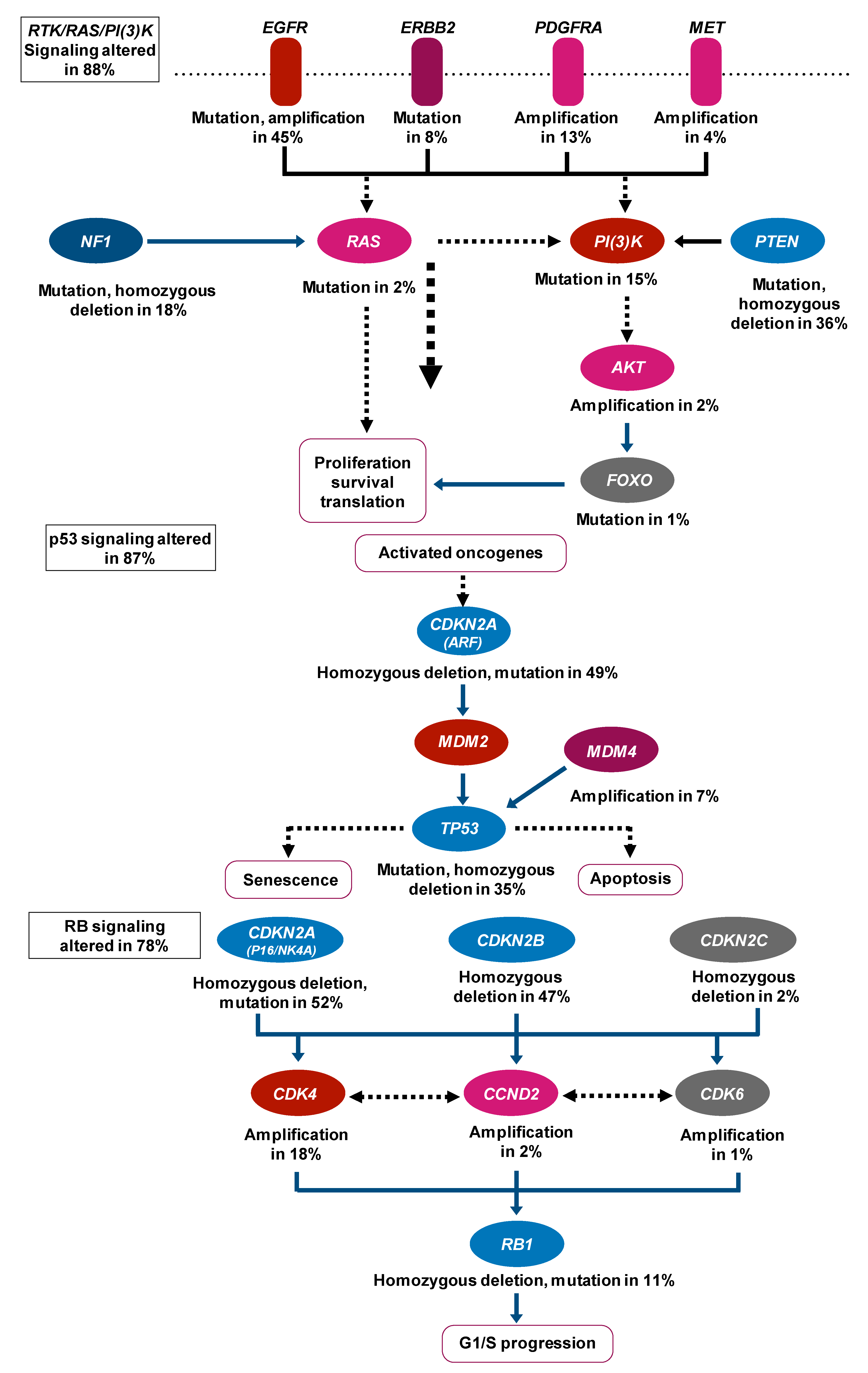 Biomolecules 11 00565 g002 Biomolecules 11 00565 g002