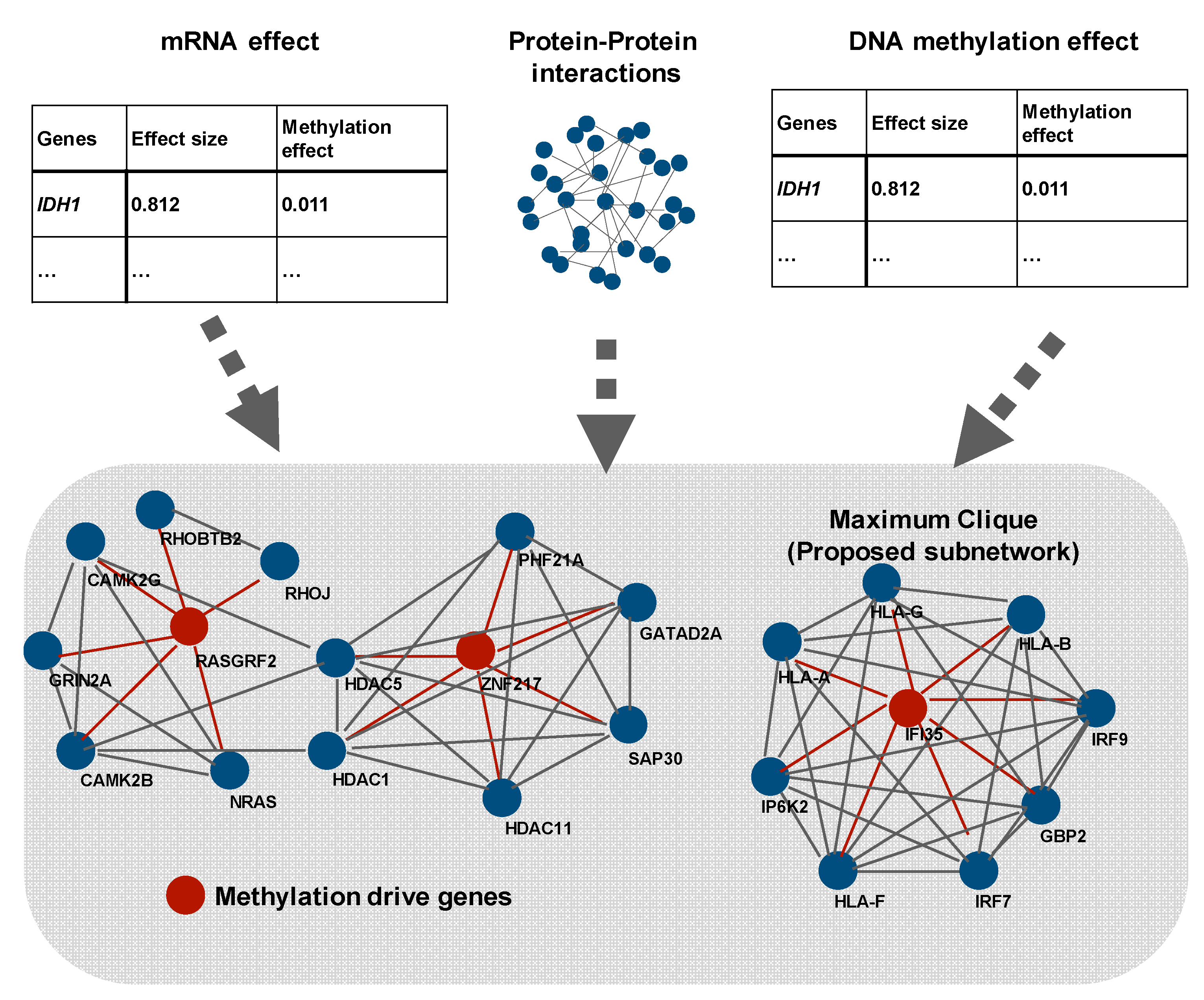 Biomolecules 11 00565 g003 Biomolecules 11 00565 g003