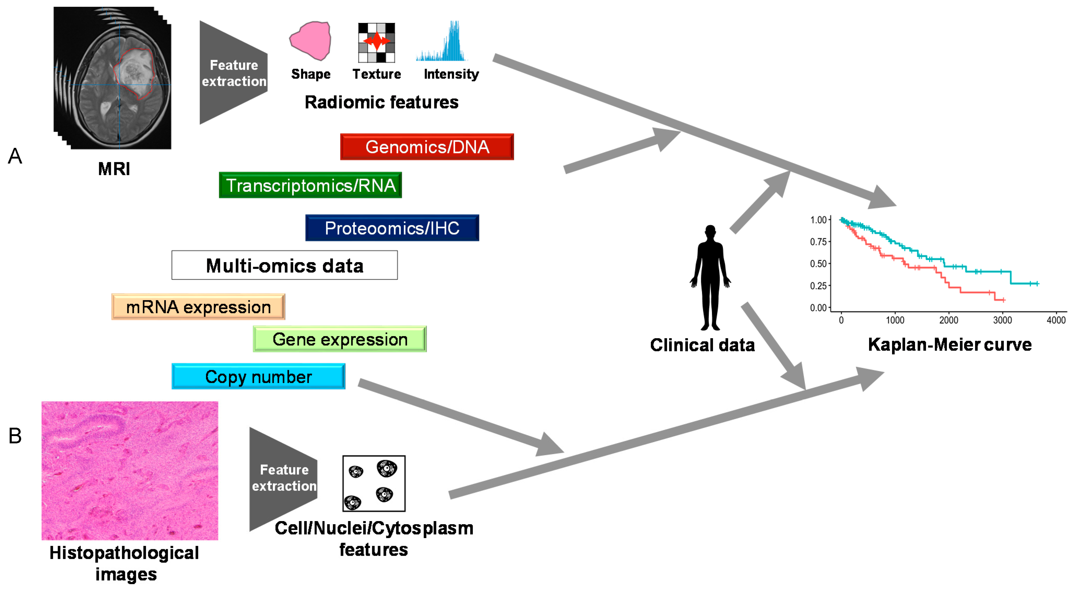 Biomolecules 11 00565 g004 Biomolecules 11 00565 g004