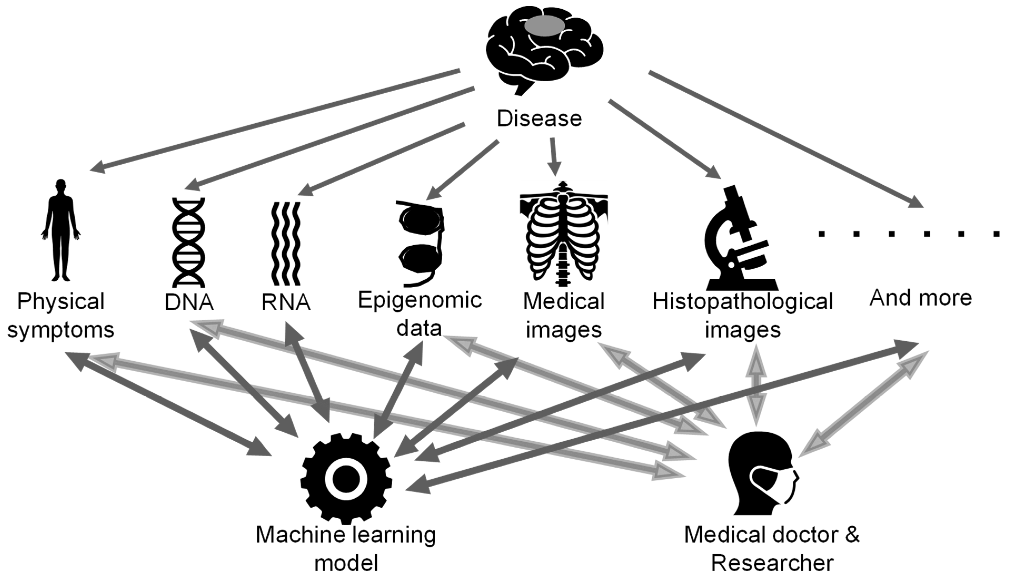 Biomolecules 11 00565 g005 Biomolecules 11 00565 g005