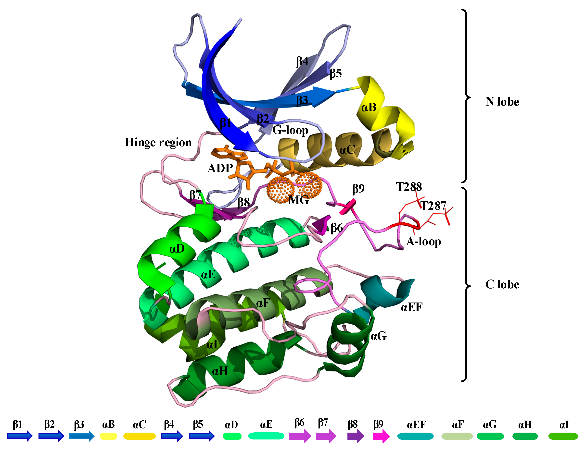 Biomolecules 11 00567 g001 Biomolecules 11 00567 g001