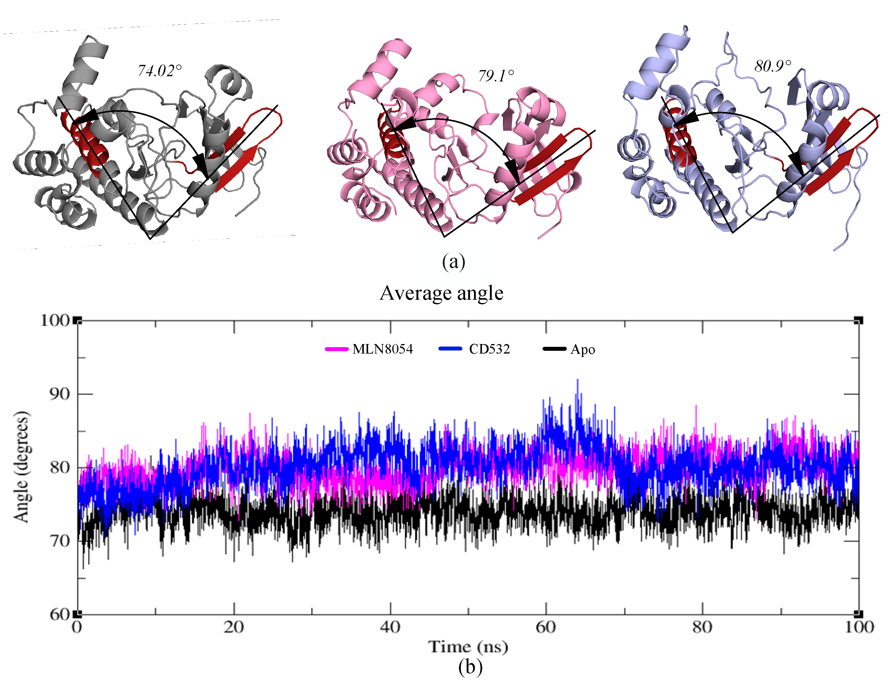 Biomolecules 11 00567 g007 Biomolecules 11 00567 g007