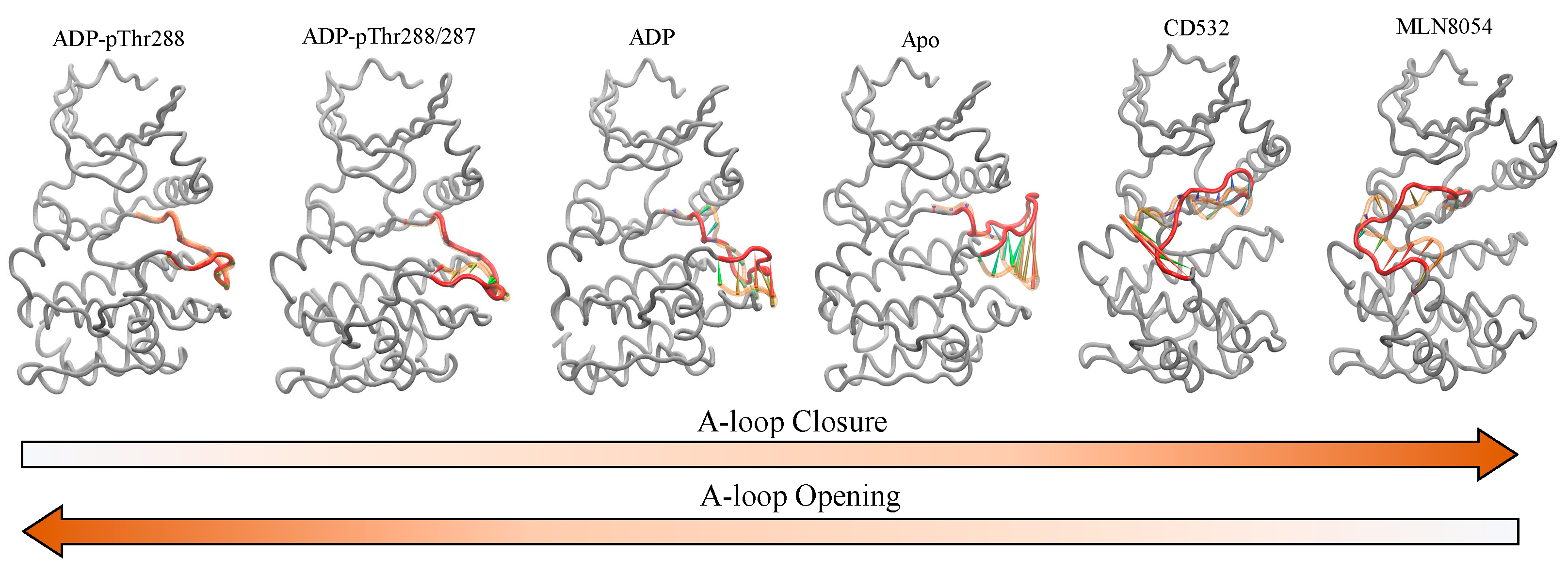 Biomolecules 11 00567 g009 Biomolecules 11 00567 g009