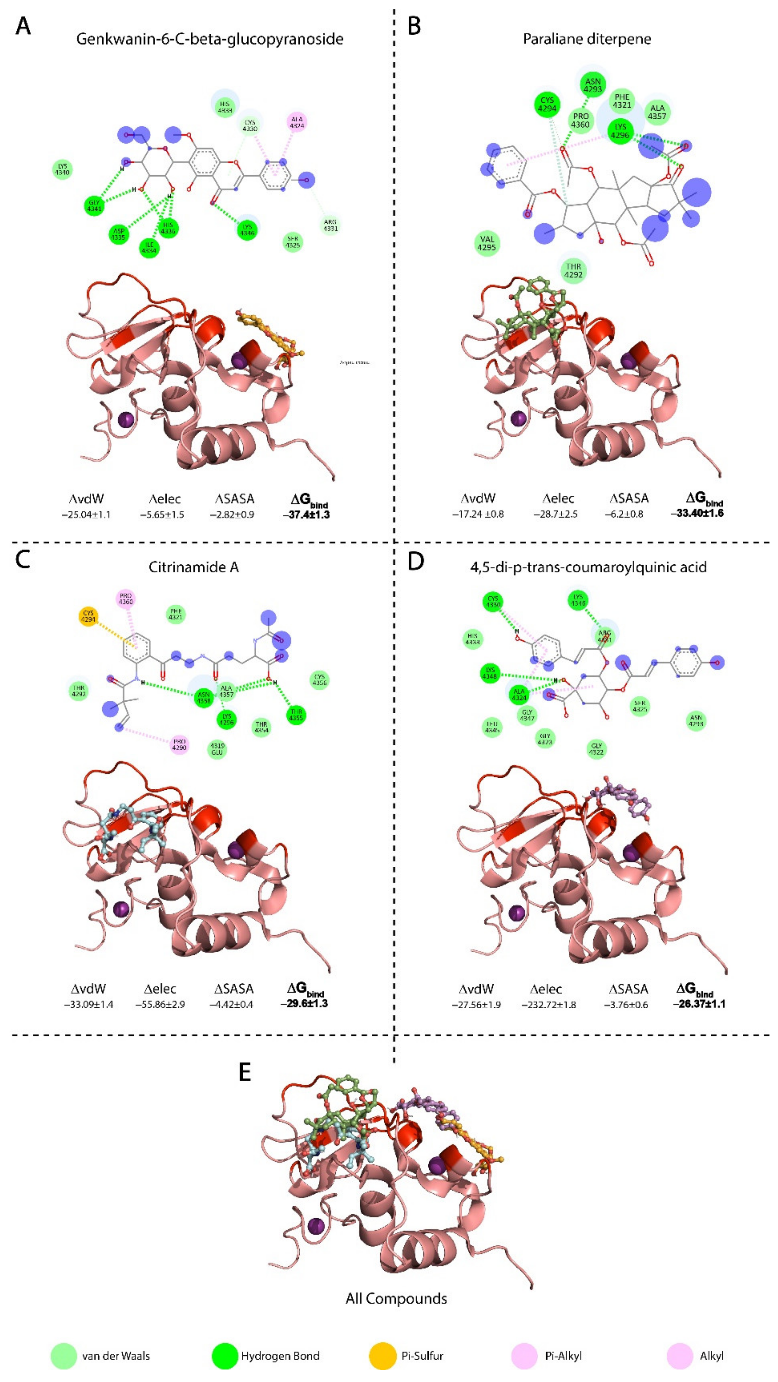 Biomolecules 11 00573 g002