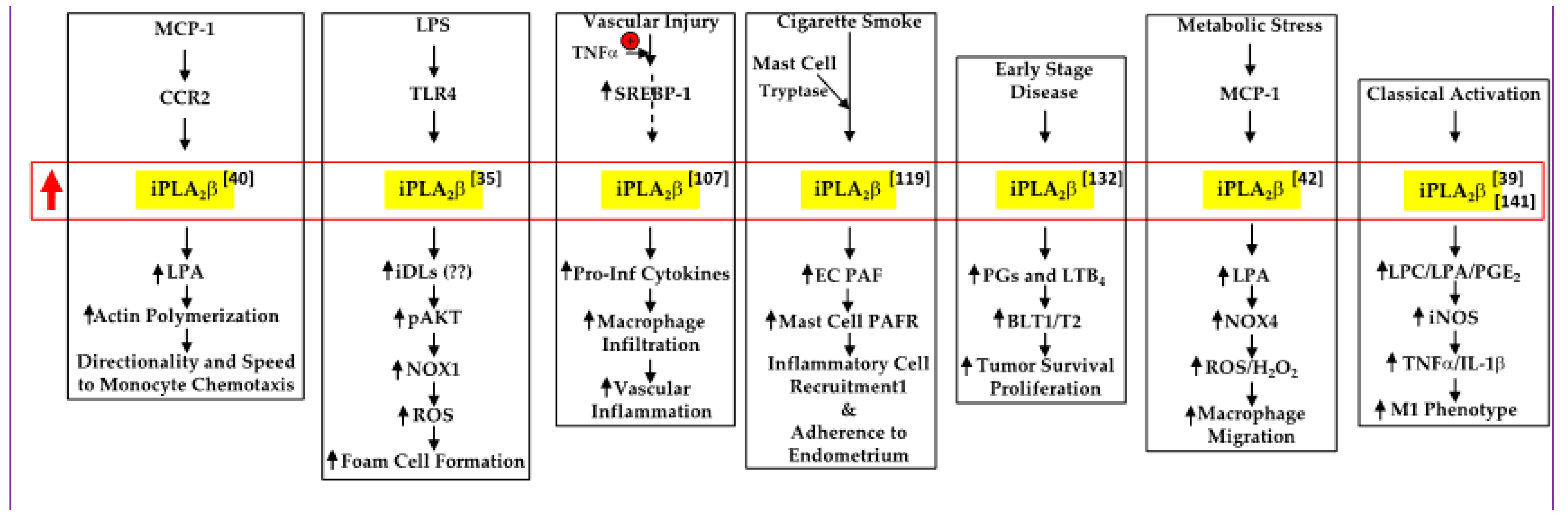 Biomolecules 11 00577 g001 Biomolecules 11 00577 g001