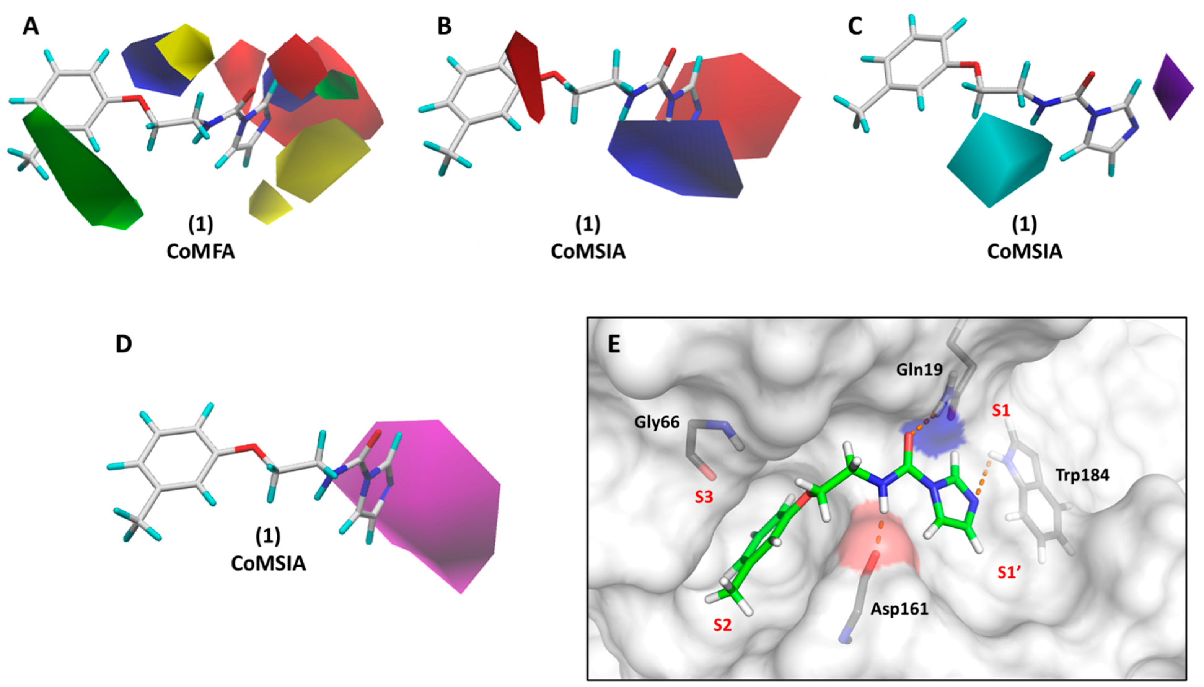 Biomolecules 11 00579 g008 Biomolecules 11 00579 g008