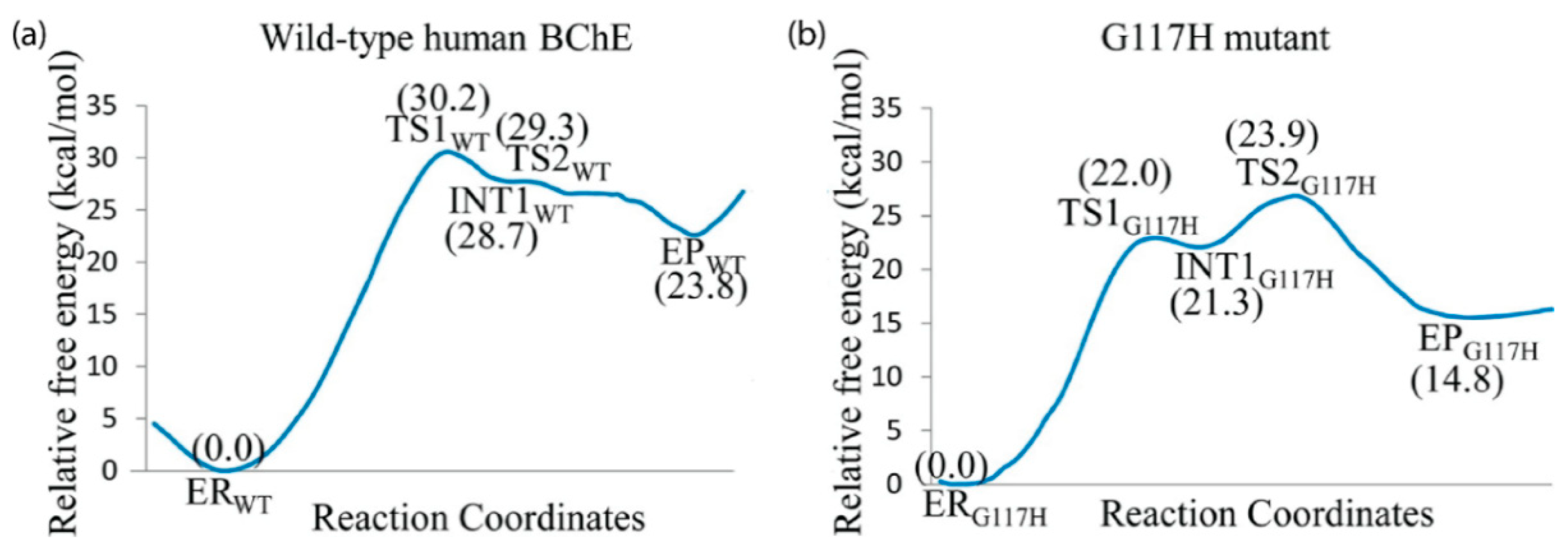 Biomolecules 11 00580 g007 Biomolecules 11 00580 g007