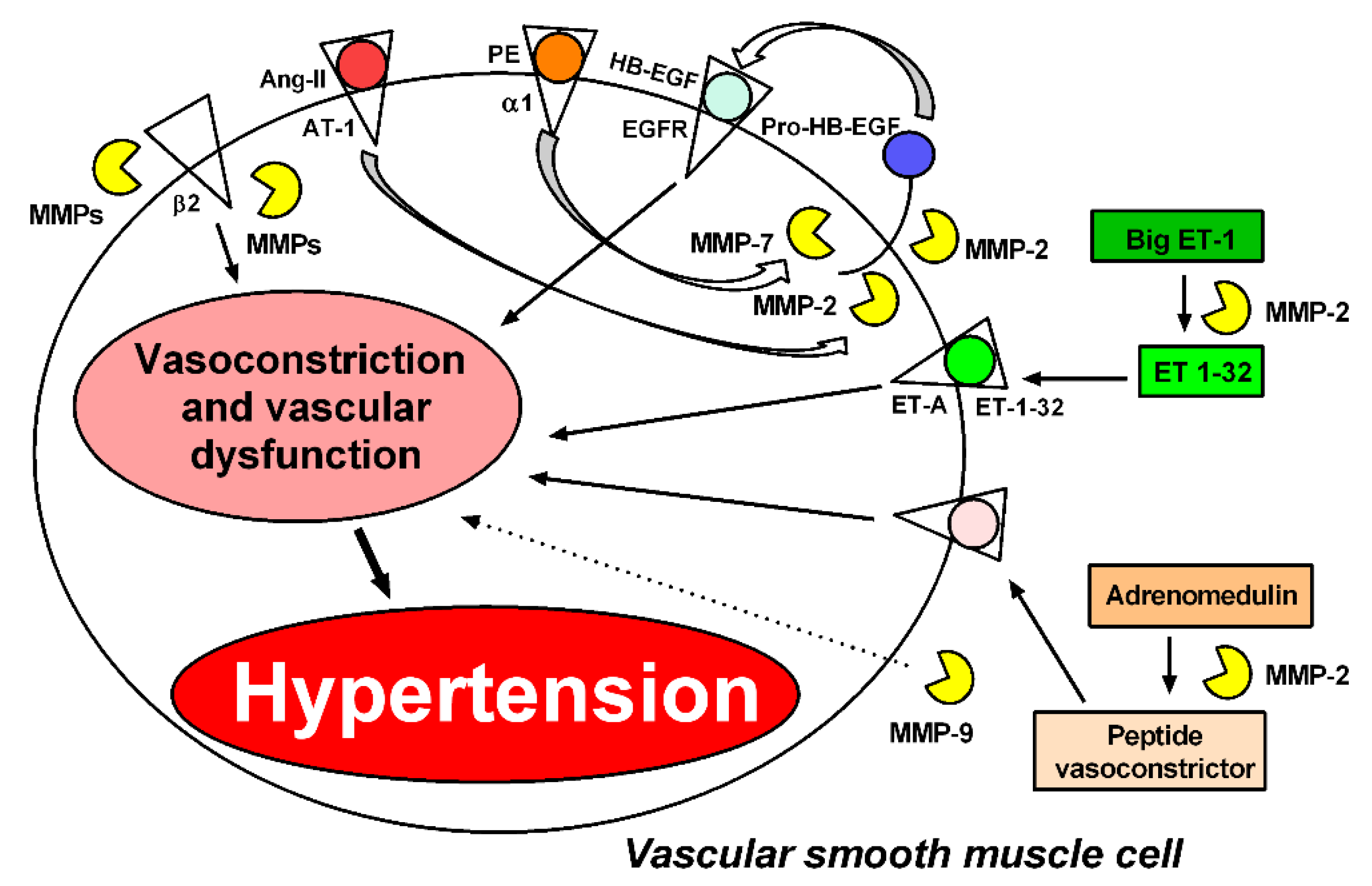 Biomolecules 11 00585 g002