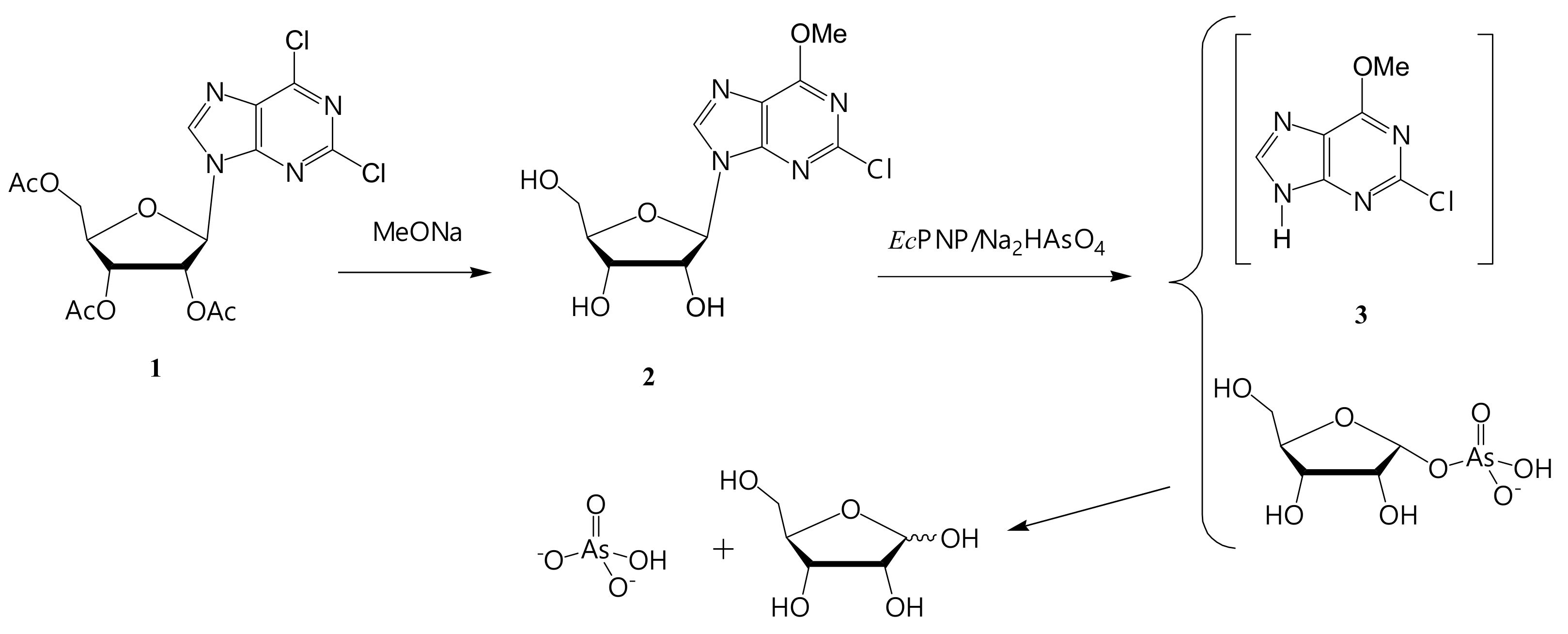Biomolecules 11 00586 g005 Biomolecules 11 00586 g005