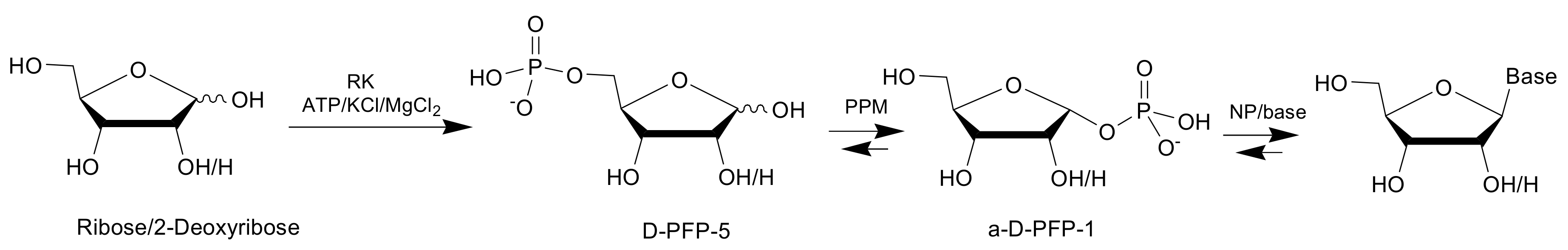 Biomolecules 11 00586 sch001 Biomolecules 11 00586 sch001