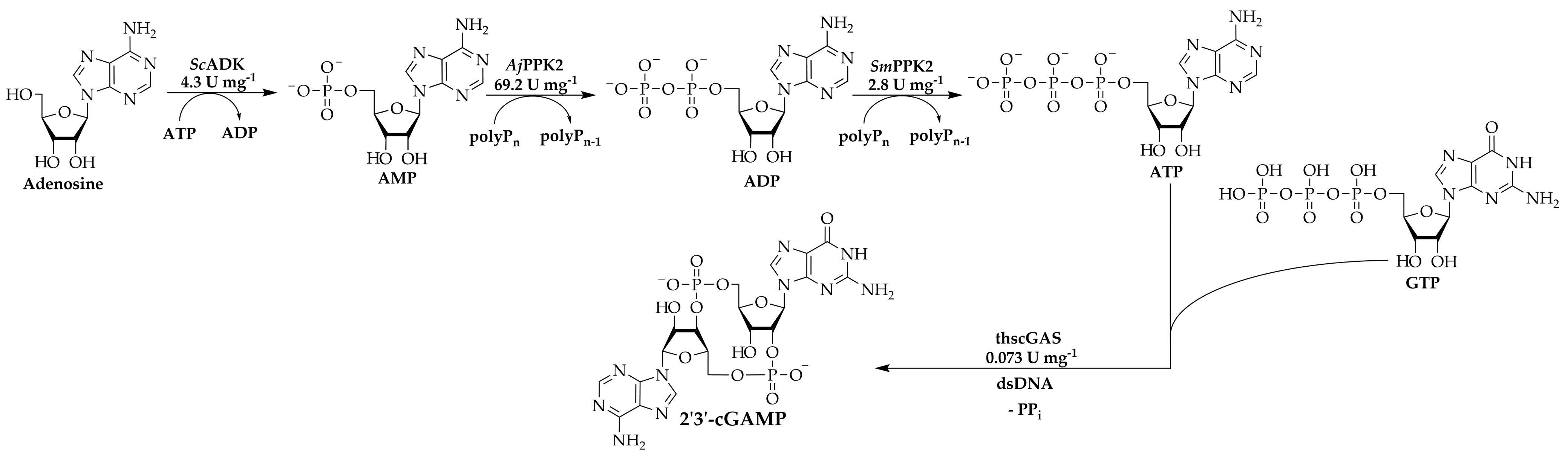 Biomolecules 11 00590 g003 Biomolecules 11 00590 g003