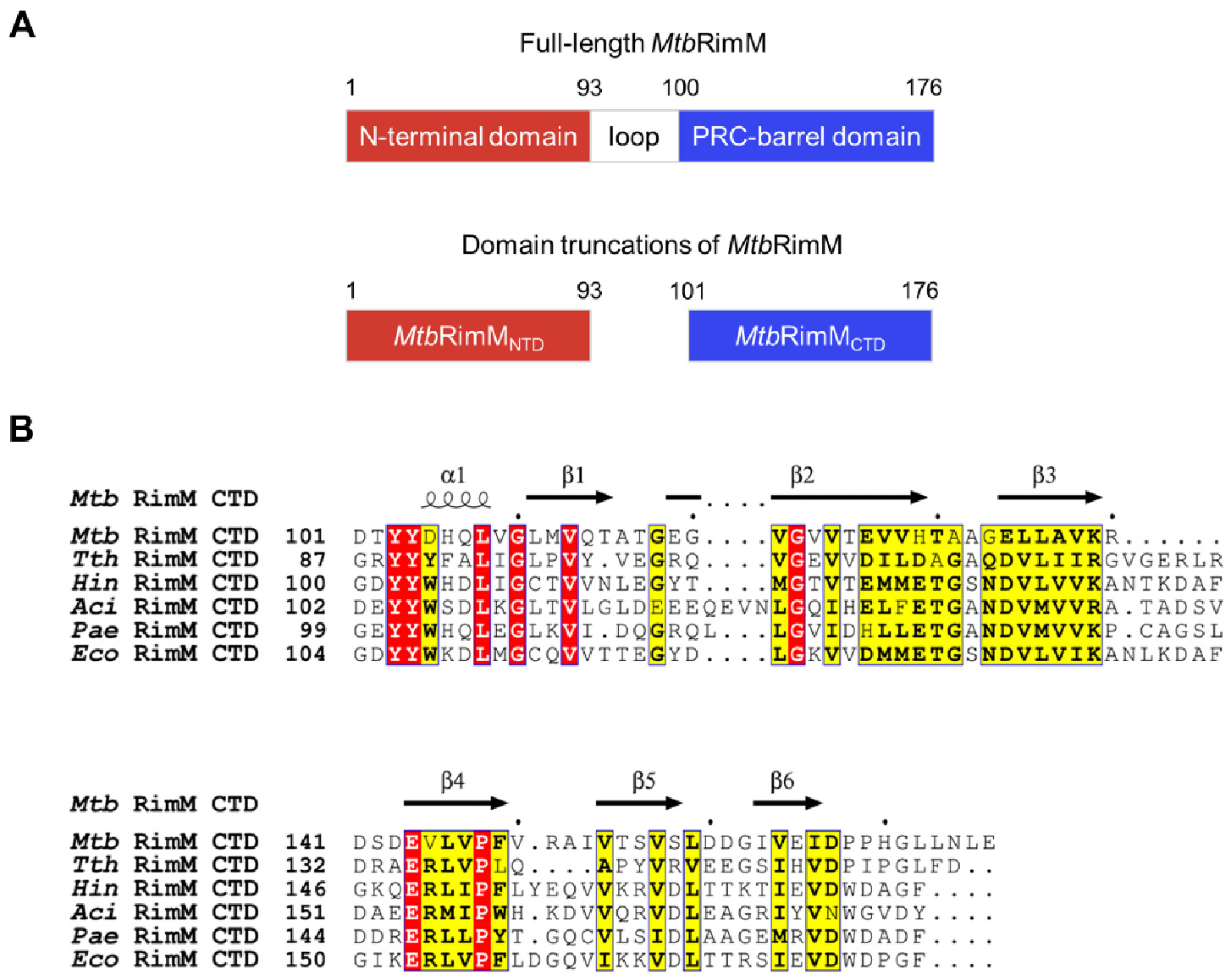 Biomolecules 11 00597 g001