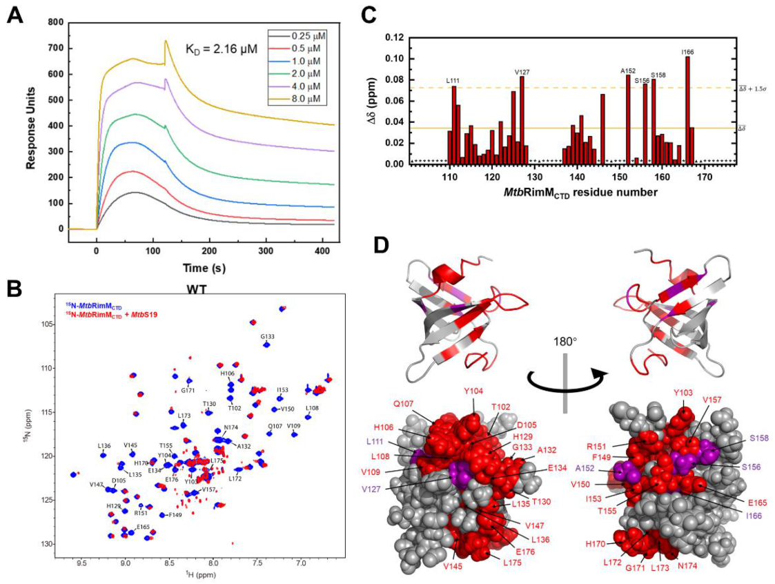 Biomolecules 11 00597 g007